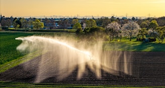 Water sprays across a farm field.