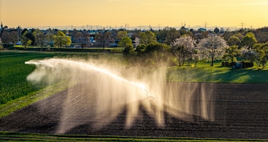 Water sprays across a farm field.