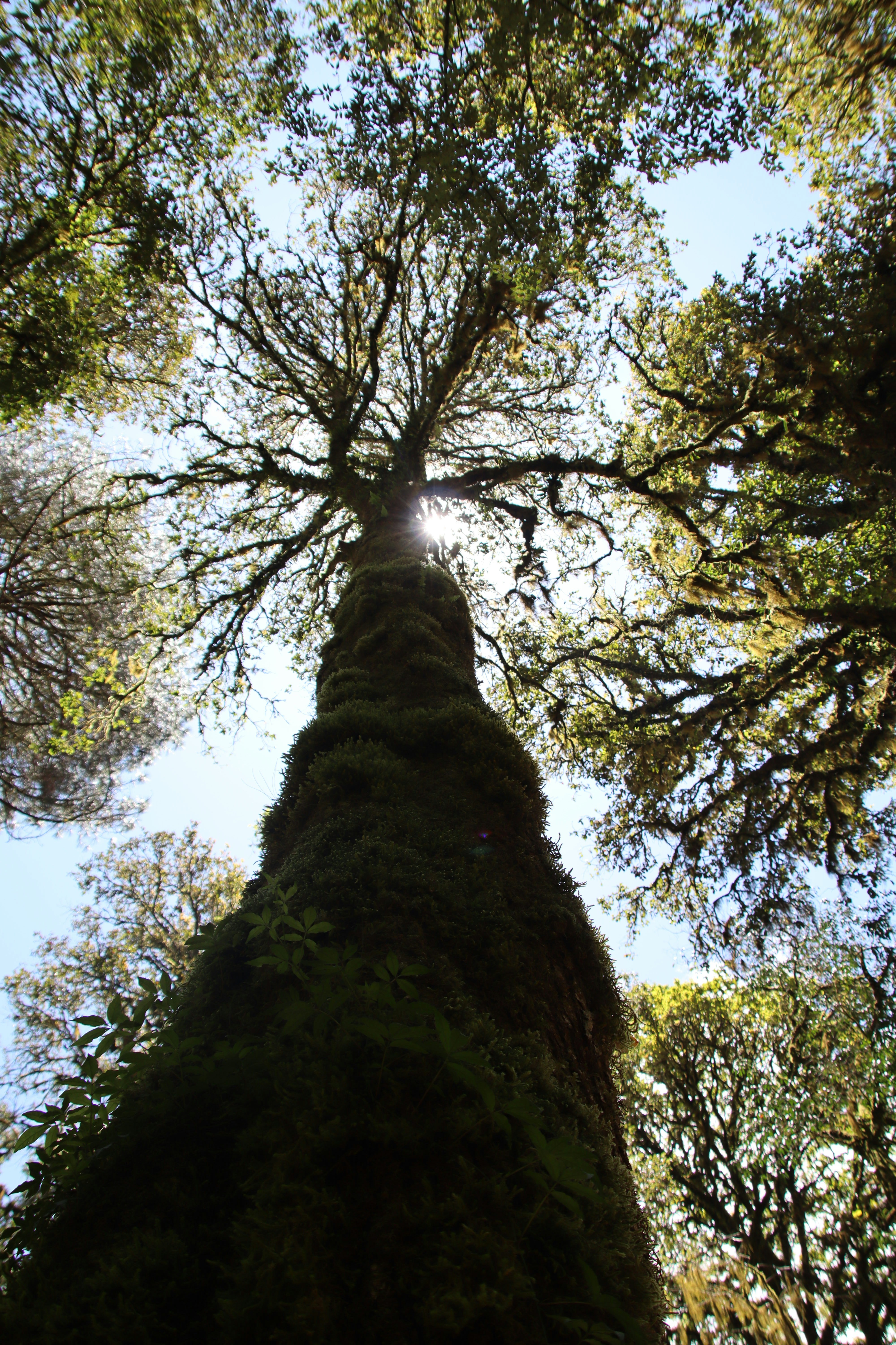 Photo by victoria_zv14