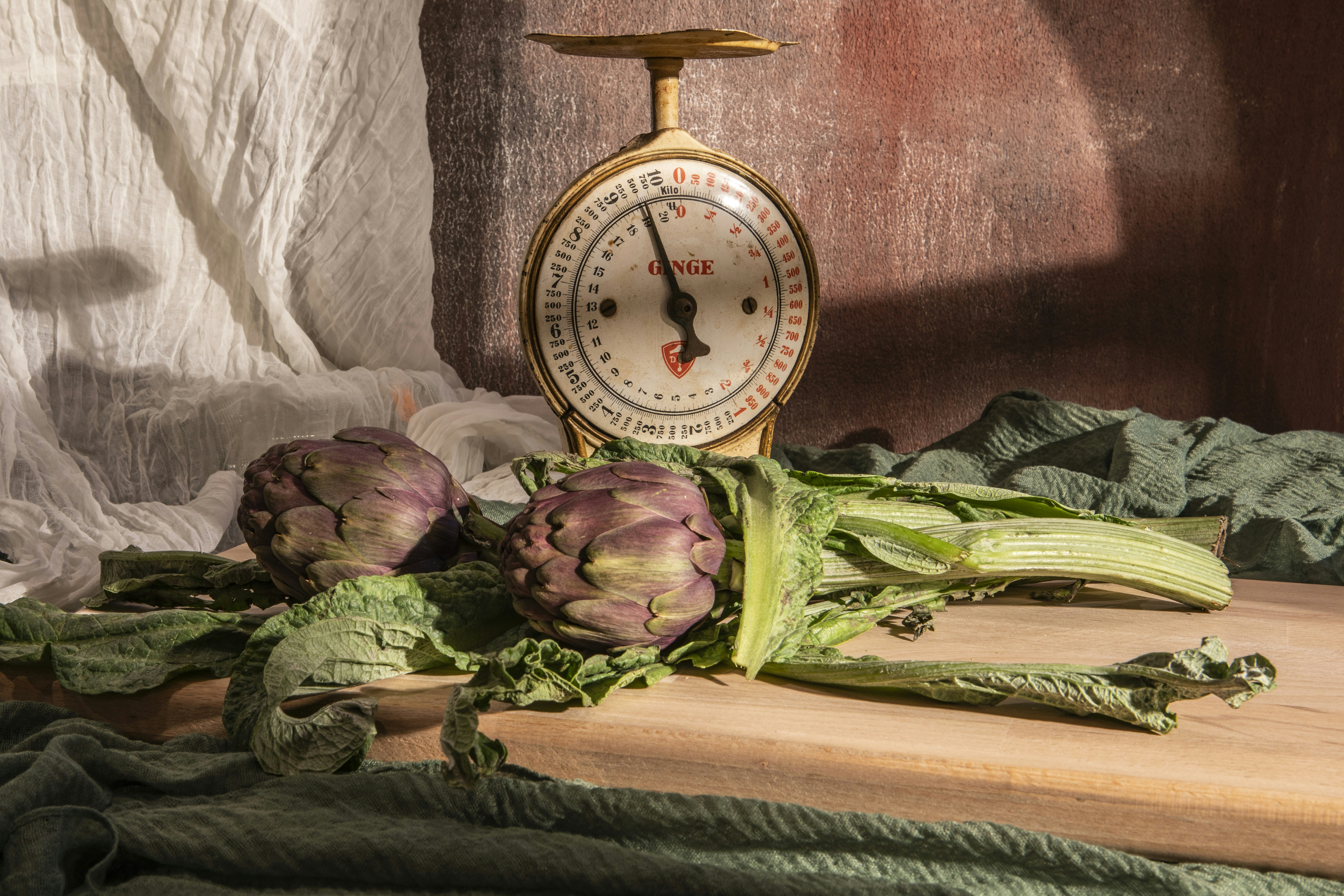 Eat by the Clock: How Meal Timing Changes Your Metabolism