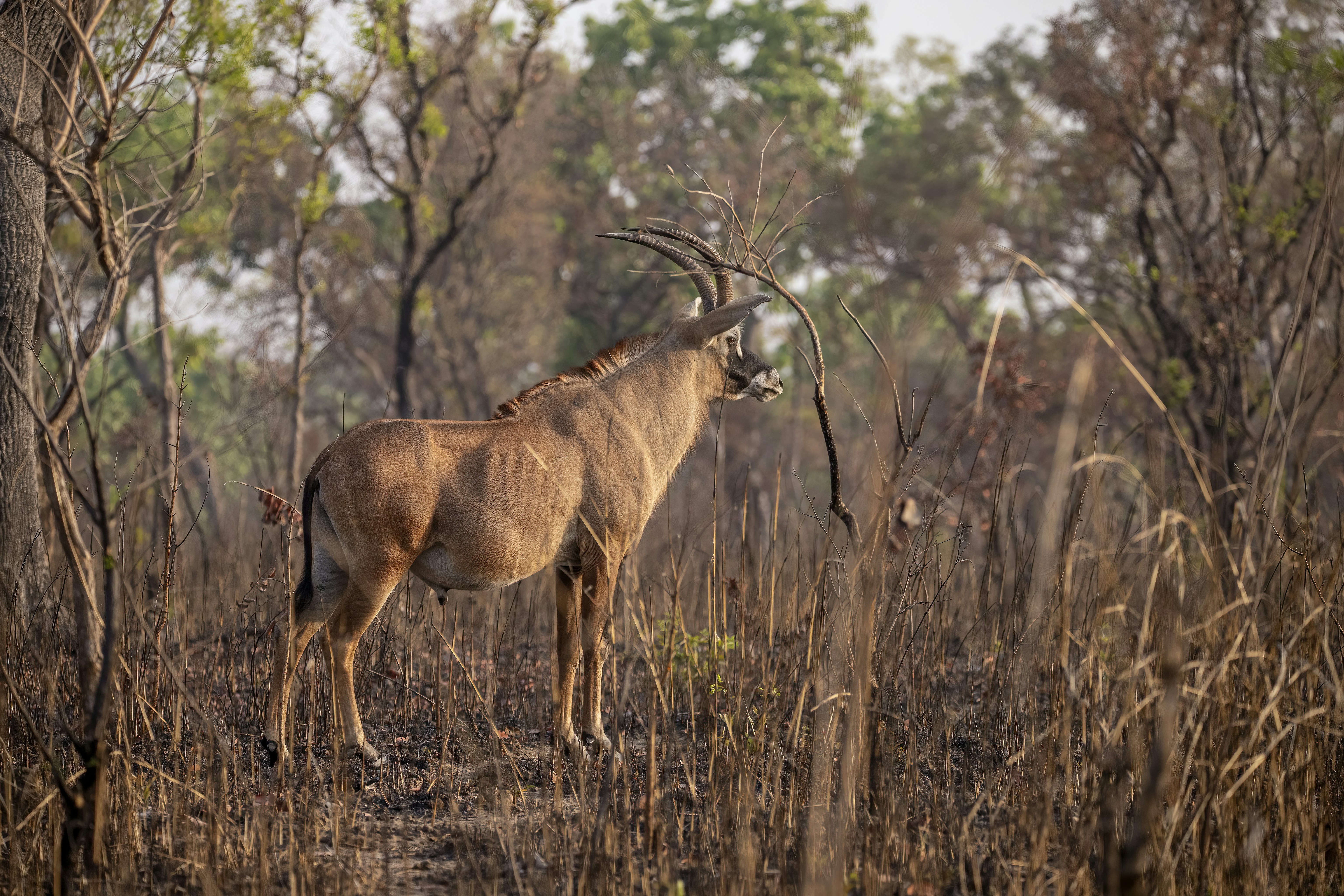 Photo by jddartphotographer