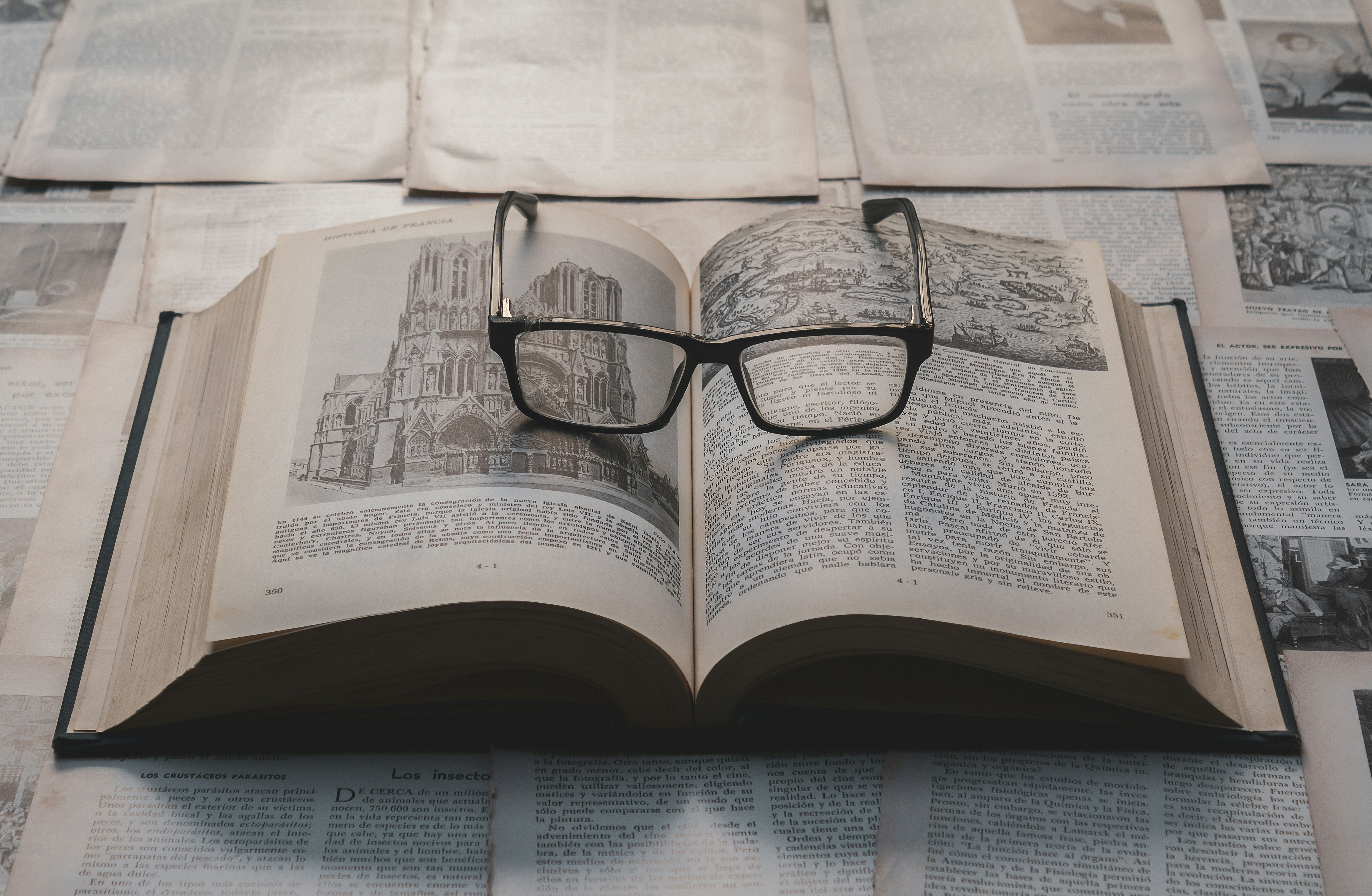 Photo by americanaez225