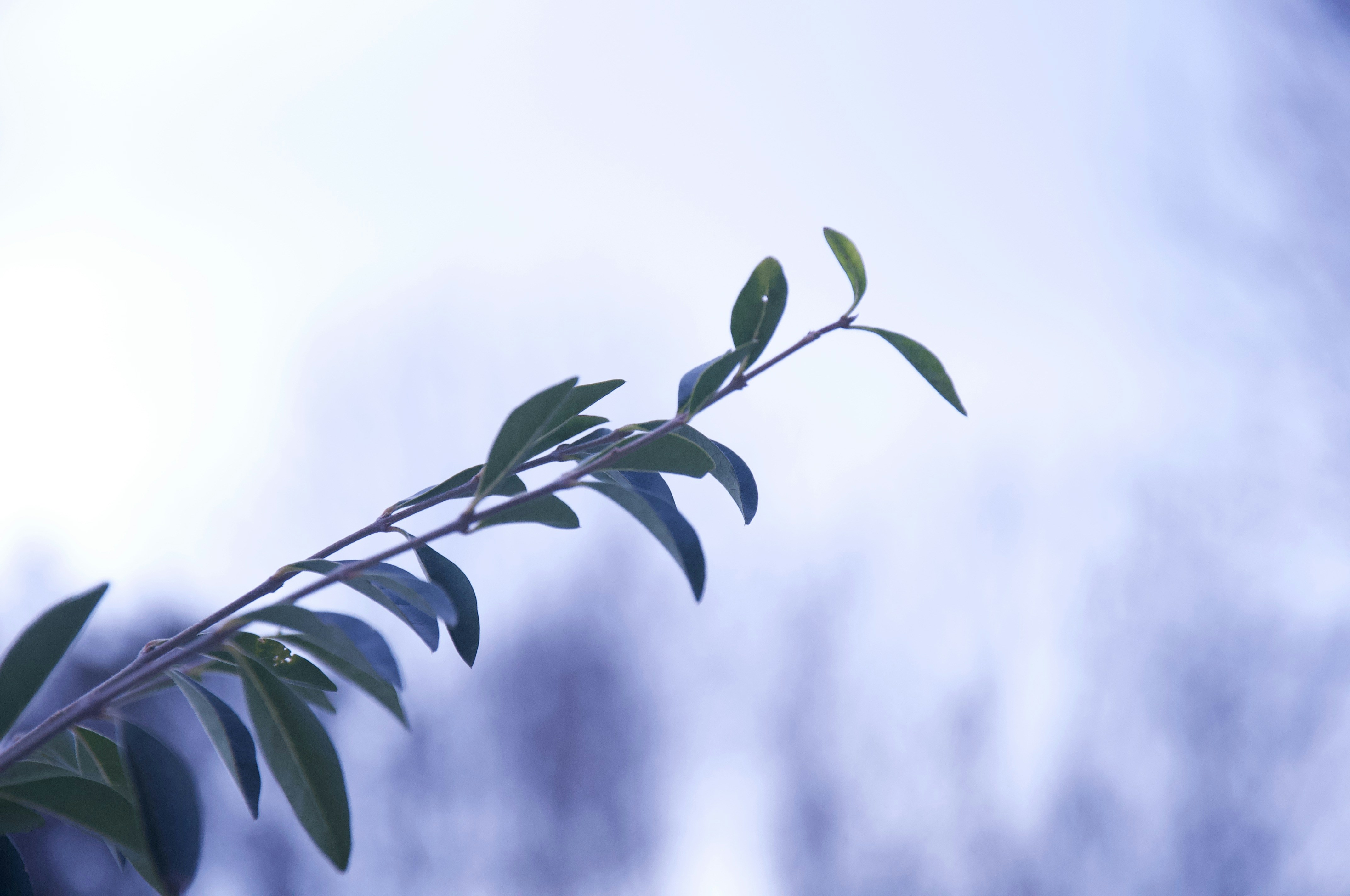 Photo by ryleighhenschen