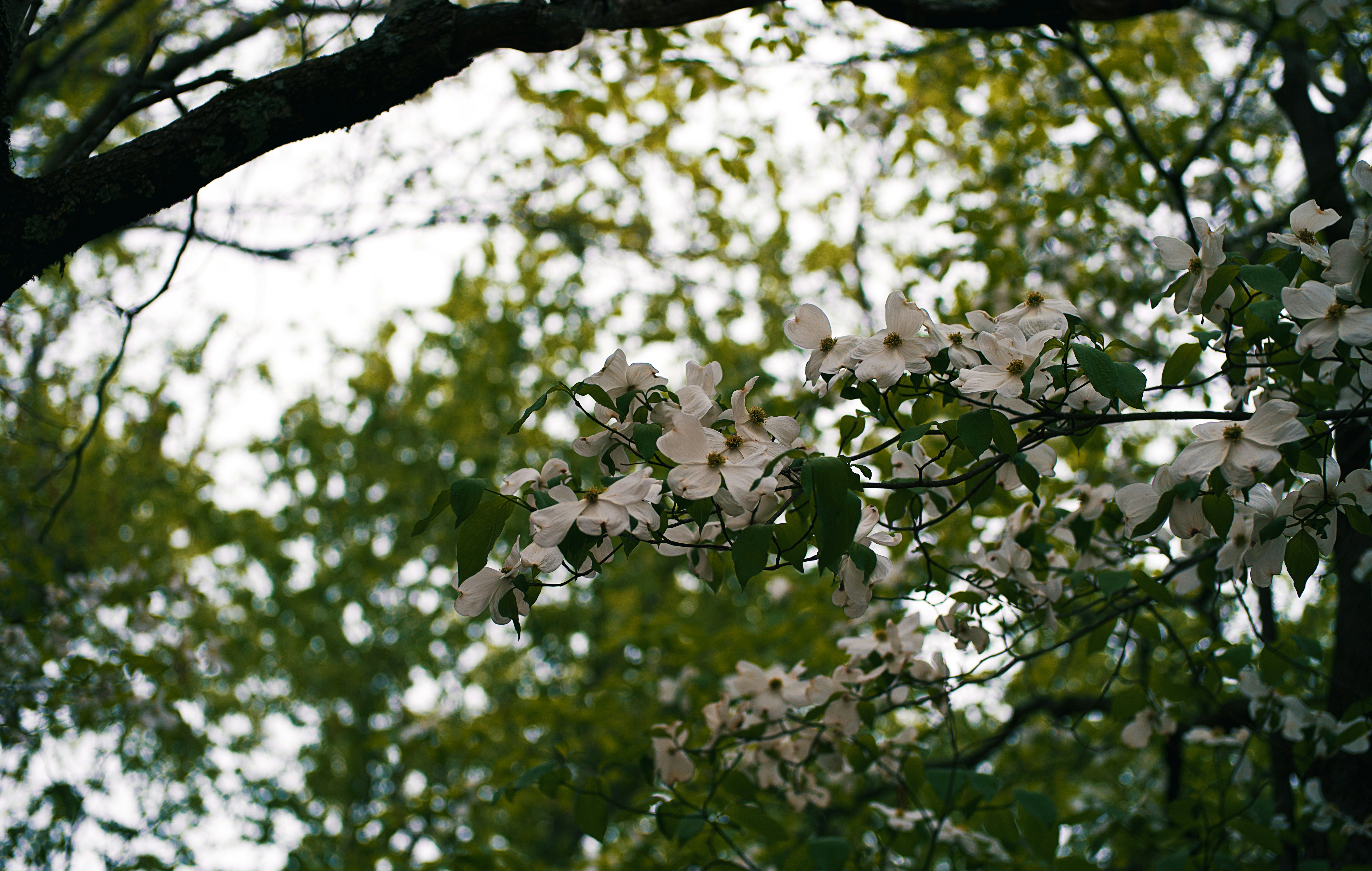 Photo by leiadakrozjhen