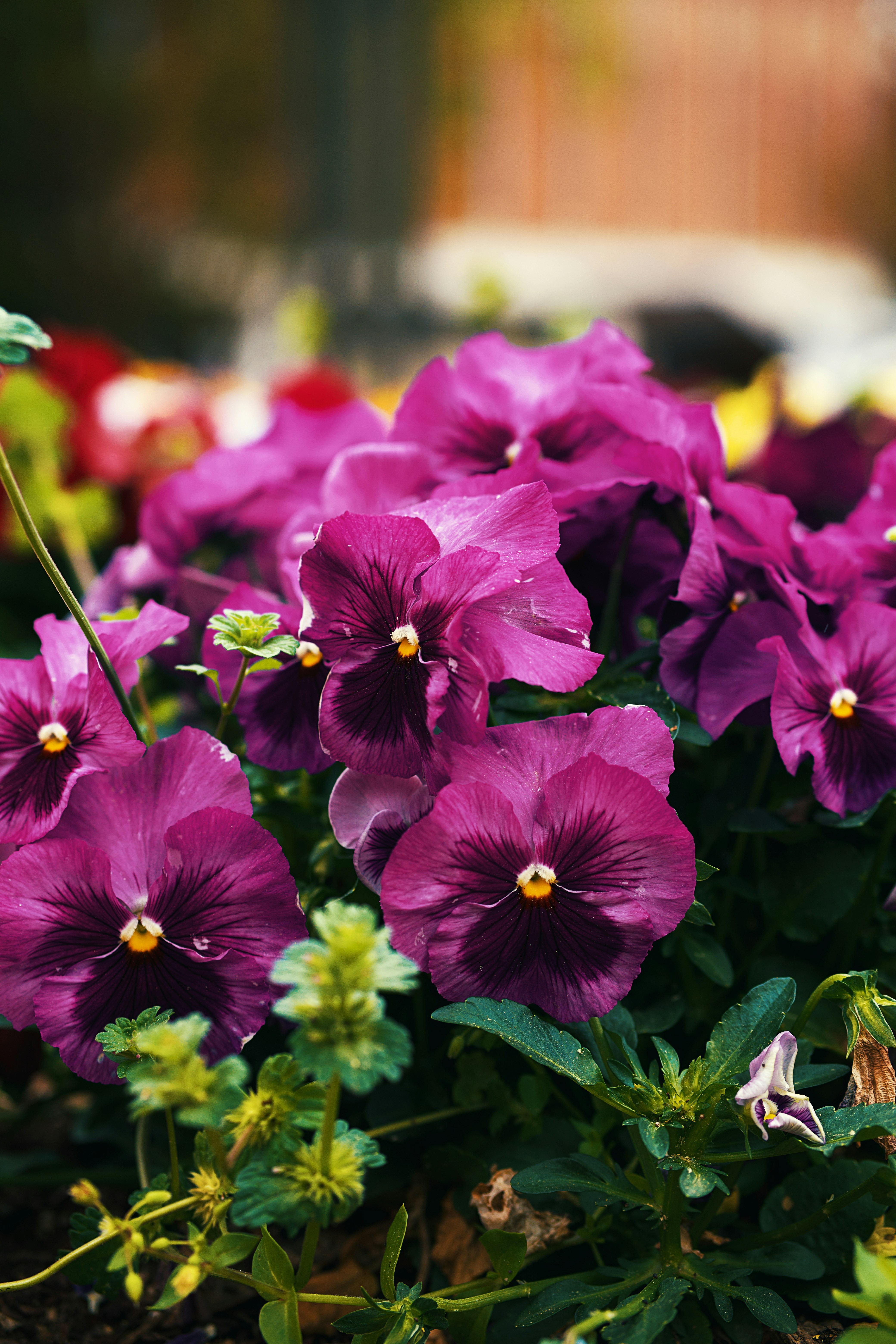 Photo by leiadakrozjhen