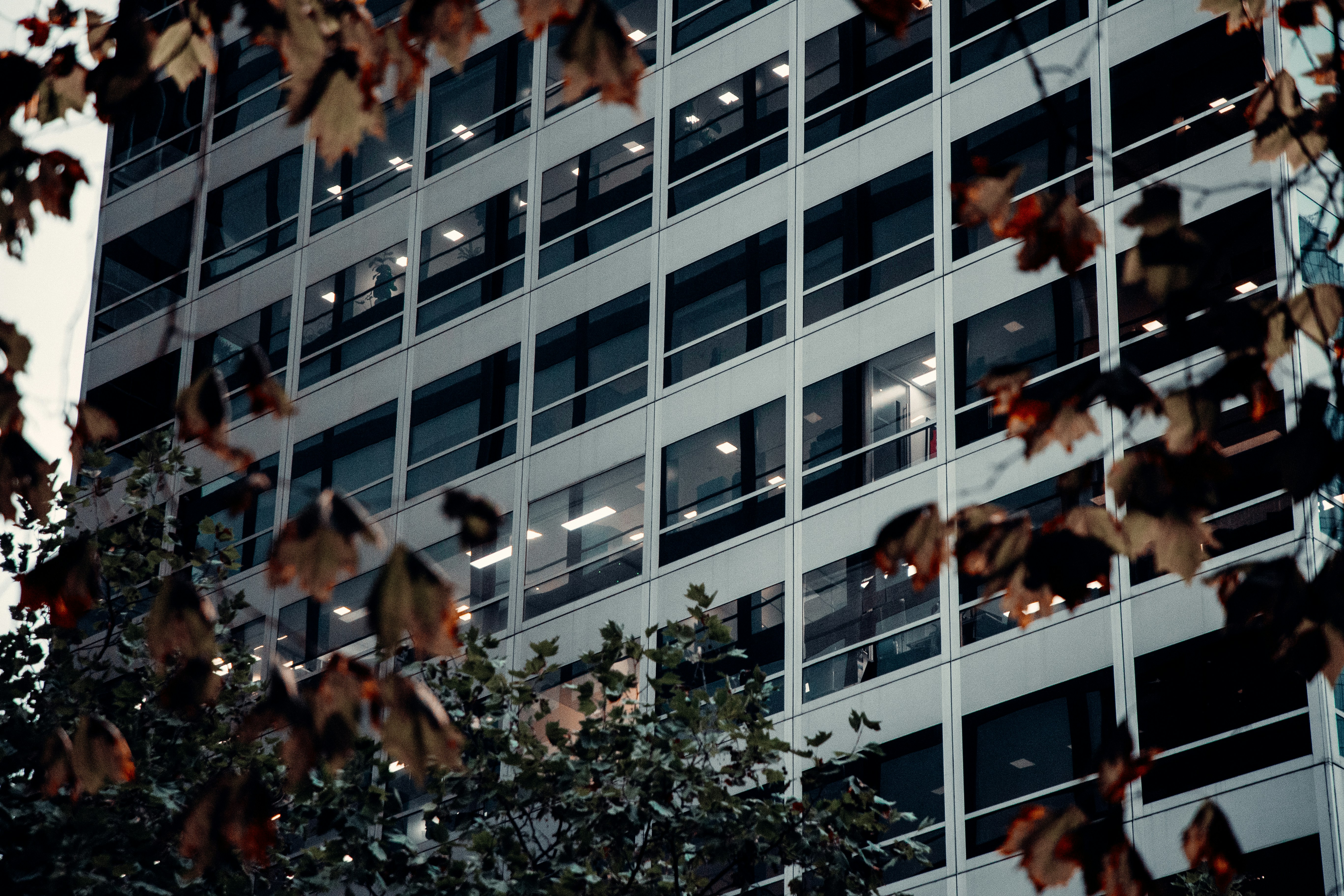 Photo by macourtmedia