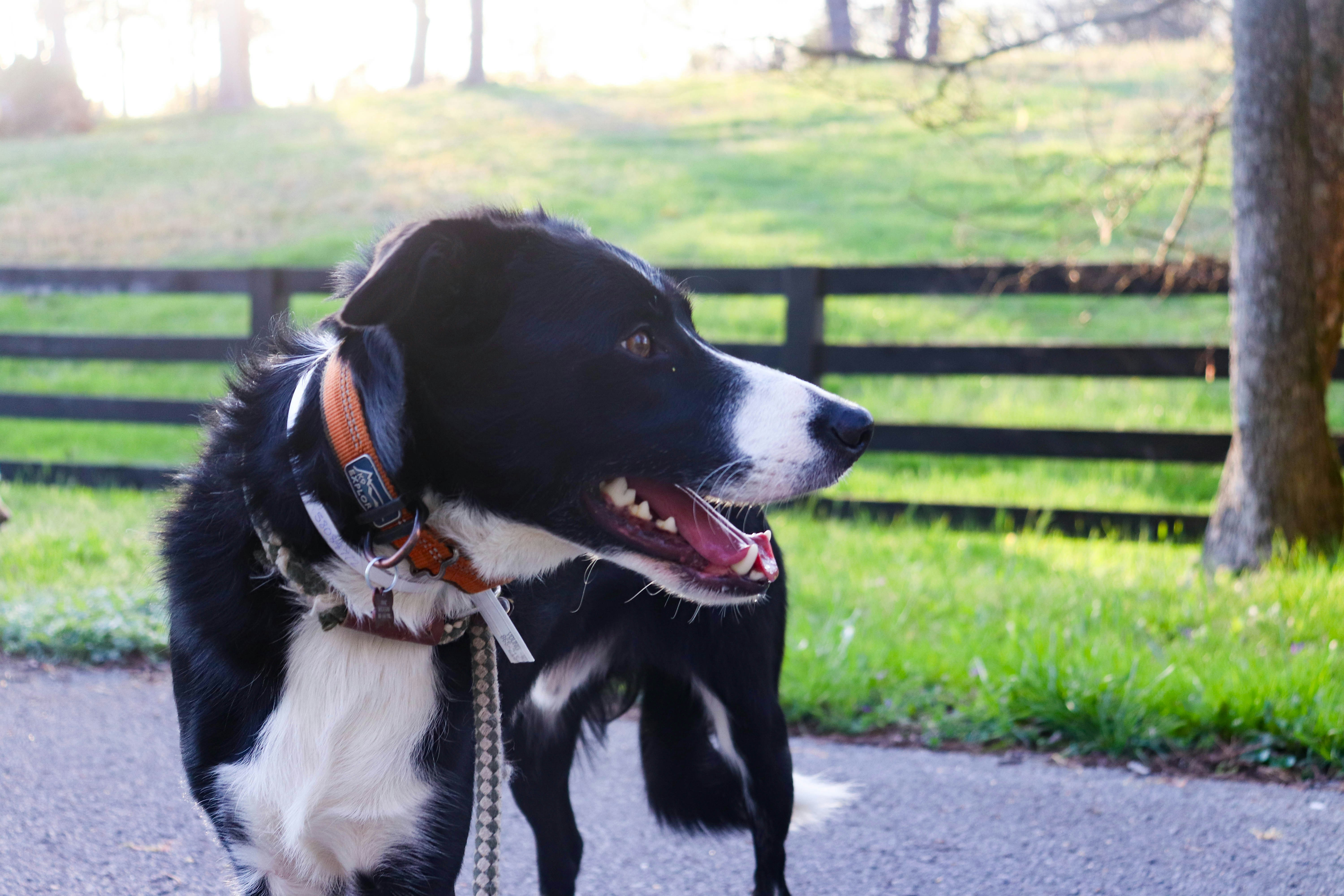 Photo by lroberts067