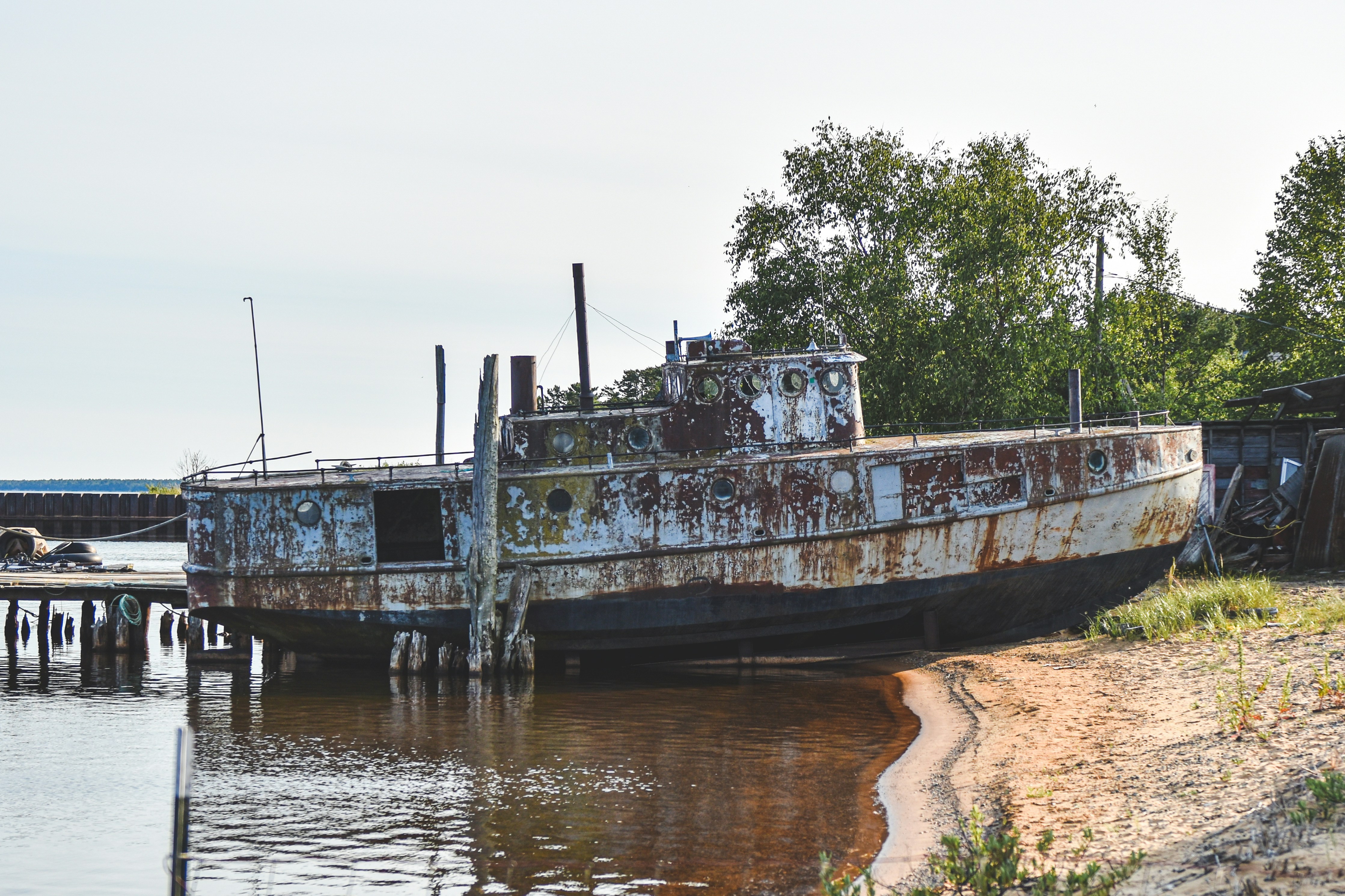 Photo by freefolkphoto