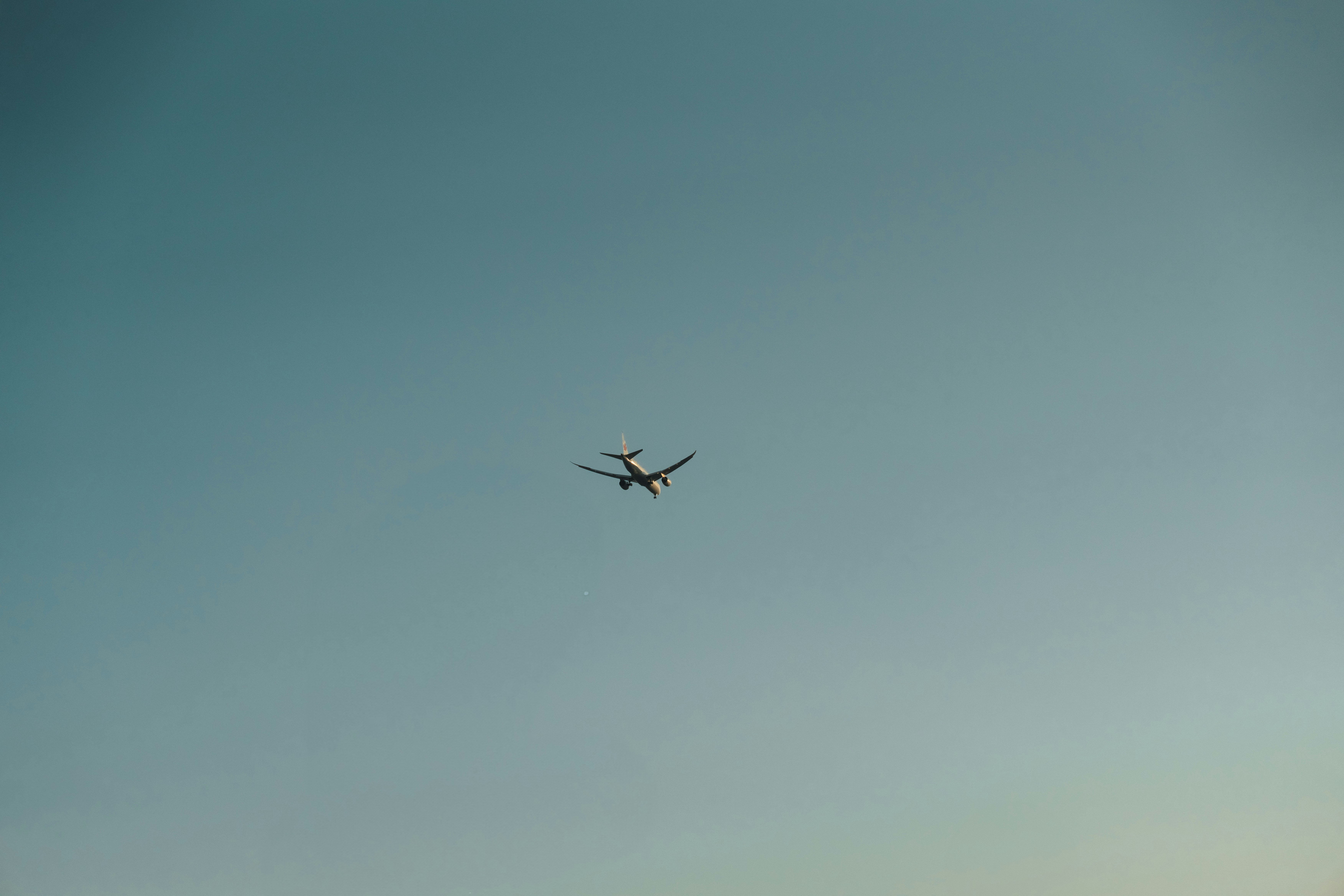 Photo by user90807060