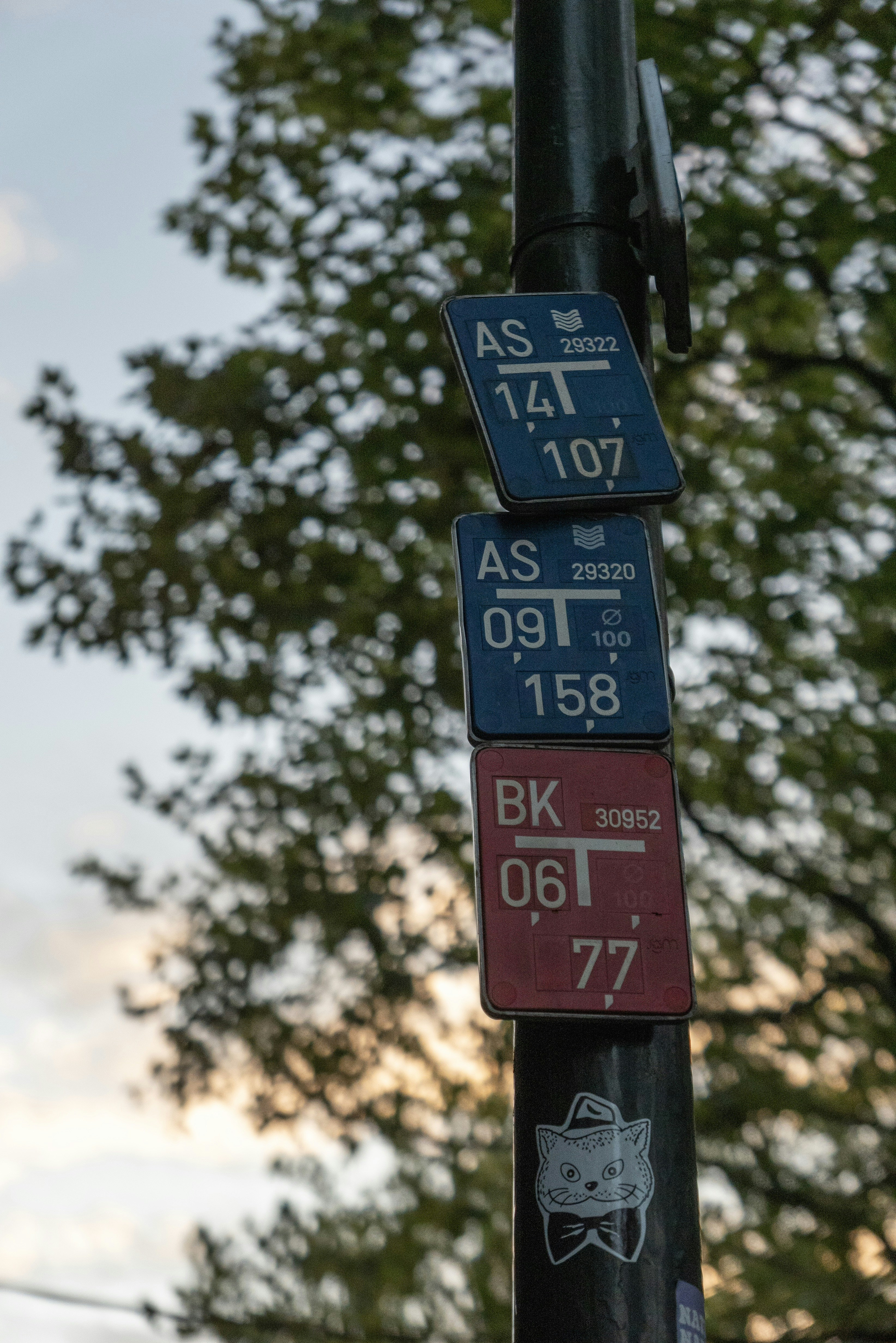 Photo by leonbredella