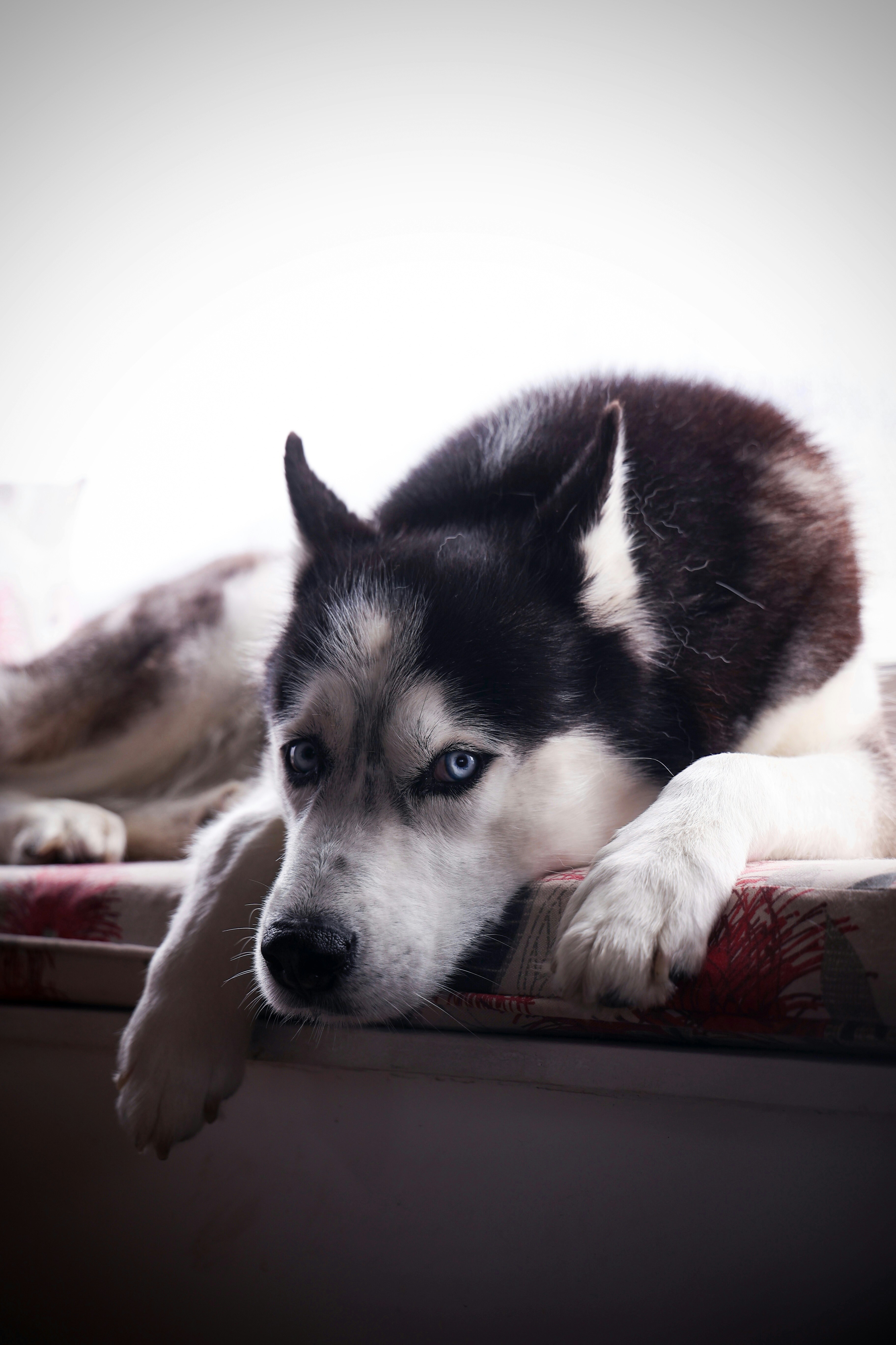 Photo by larisarunova