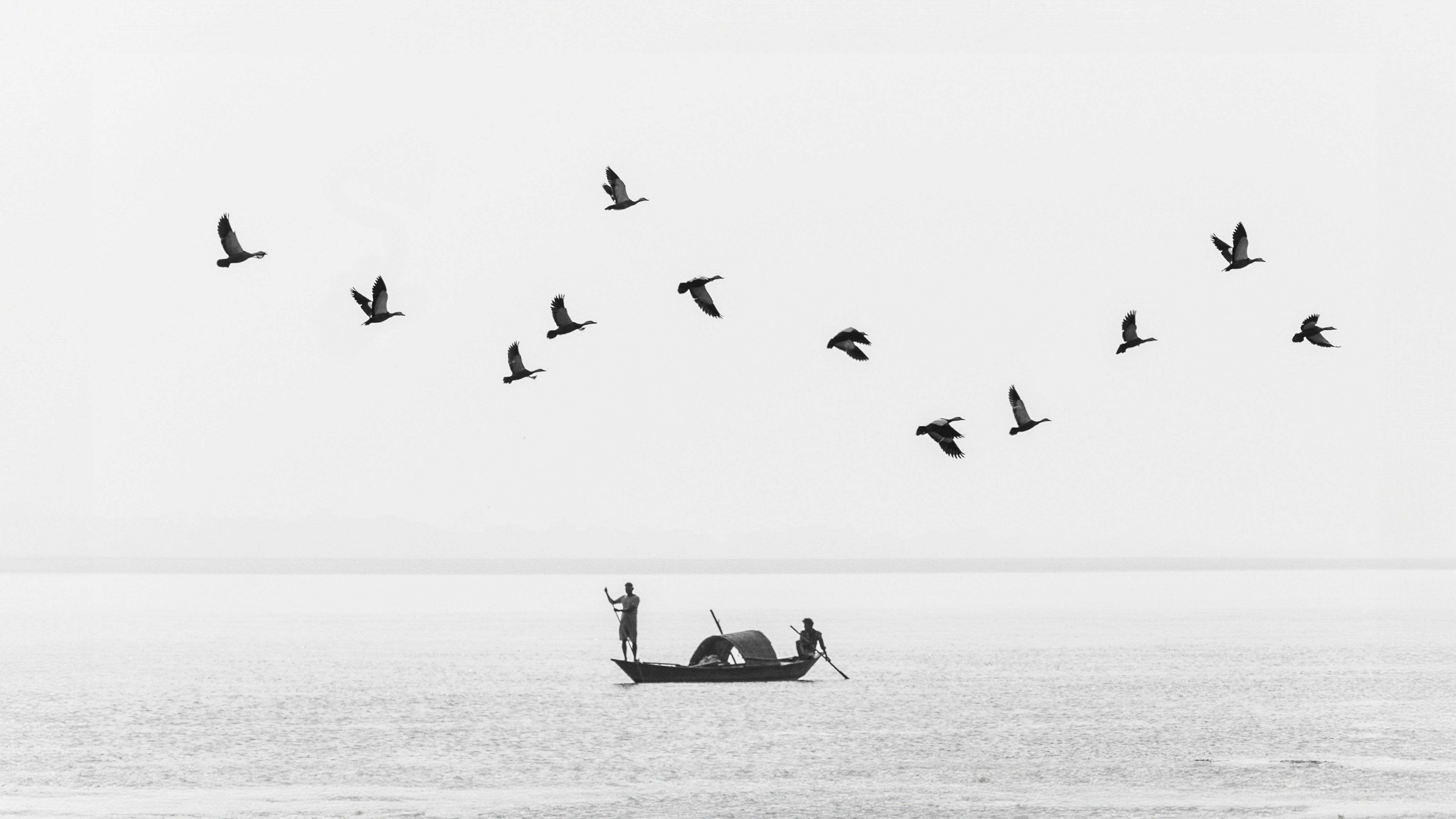 Photo by atharvad_jpeg