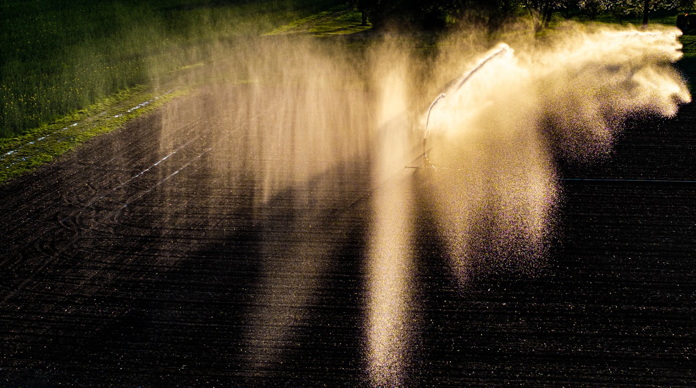 Sprinkleranlage bewässert eine grüne Fläche