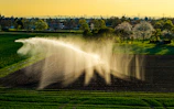 A field is being irrigated with sprinklers.