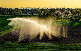 sprinkler system