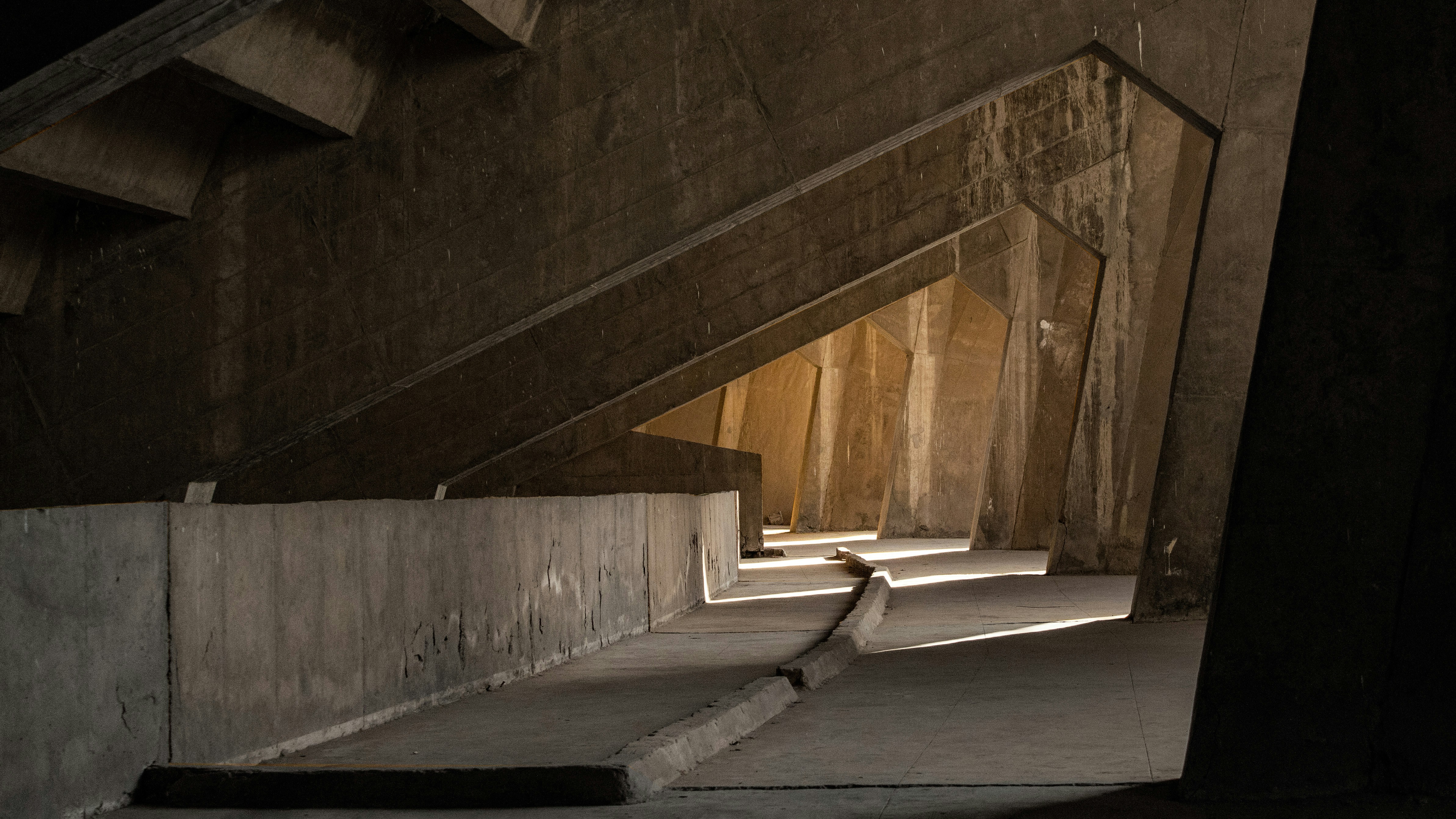 Photo by saumyajain009