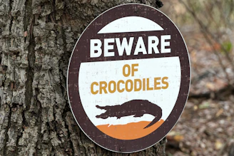 Beware of crocodiles in this area!