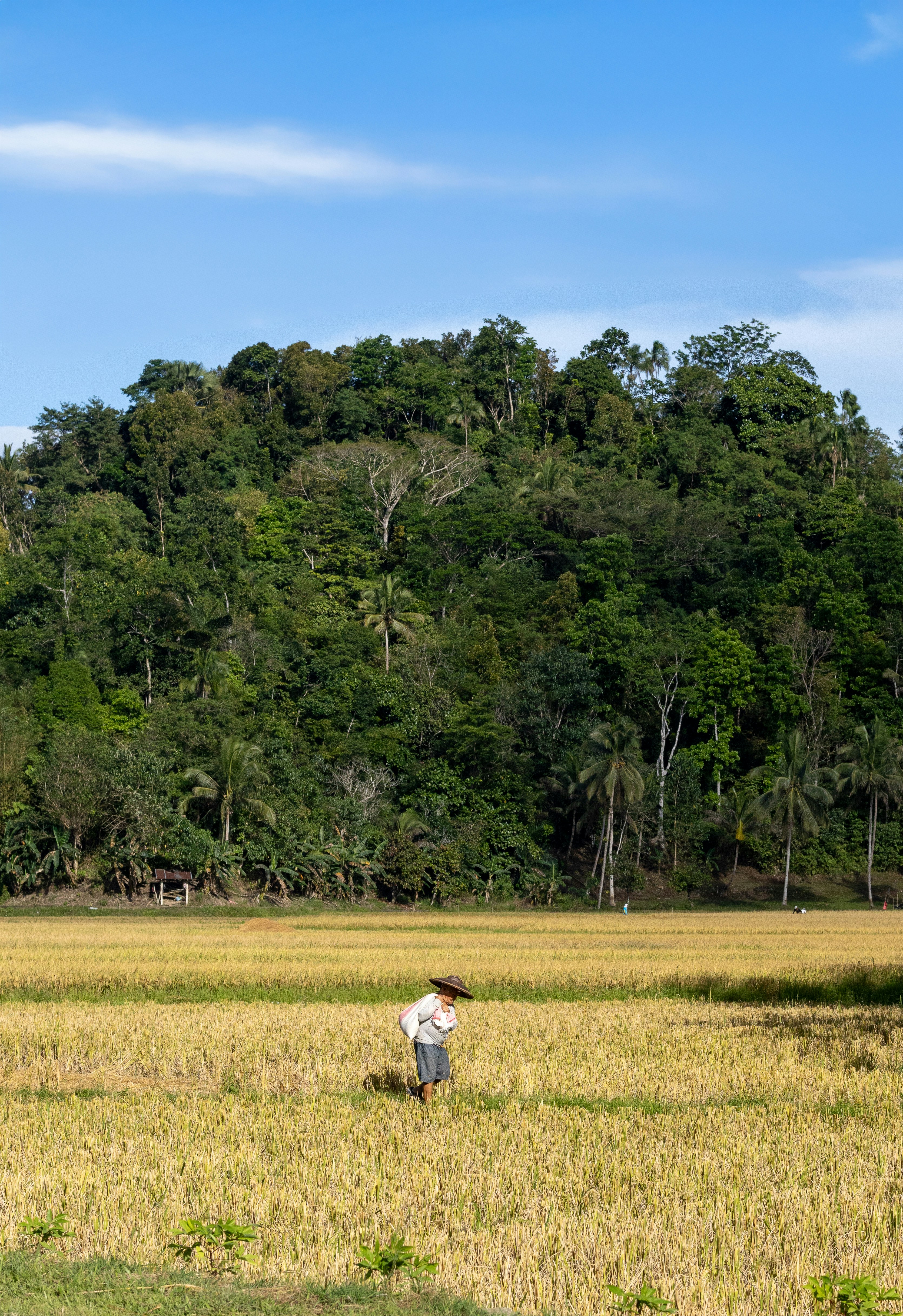 Photo by jacekjaniczak