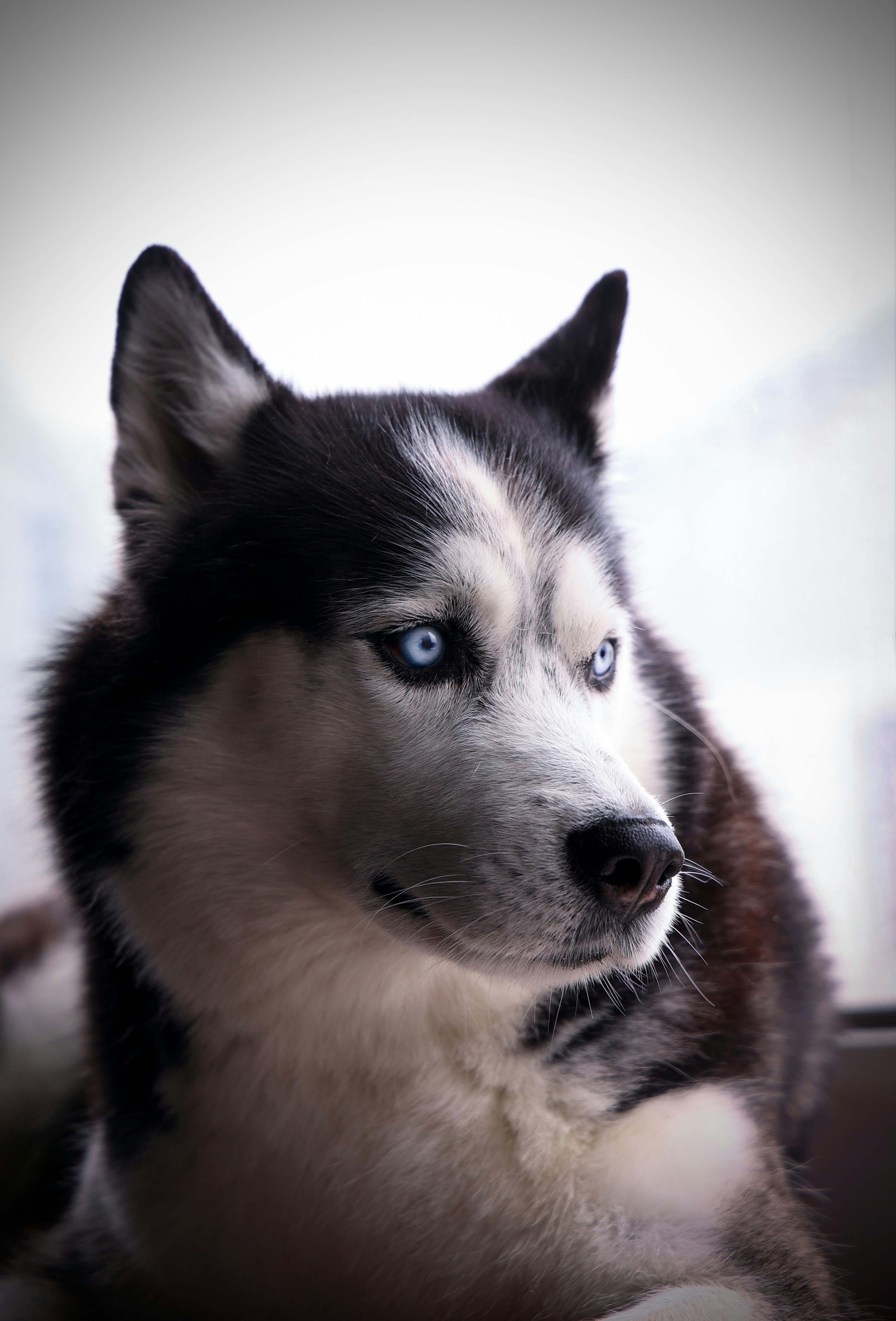 Photo by larisarunova