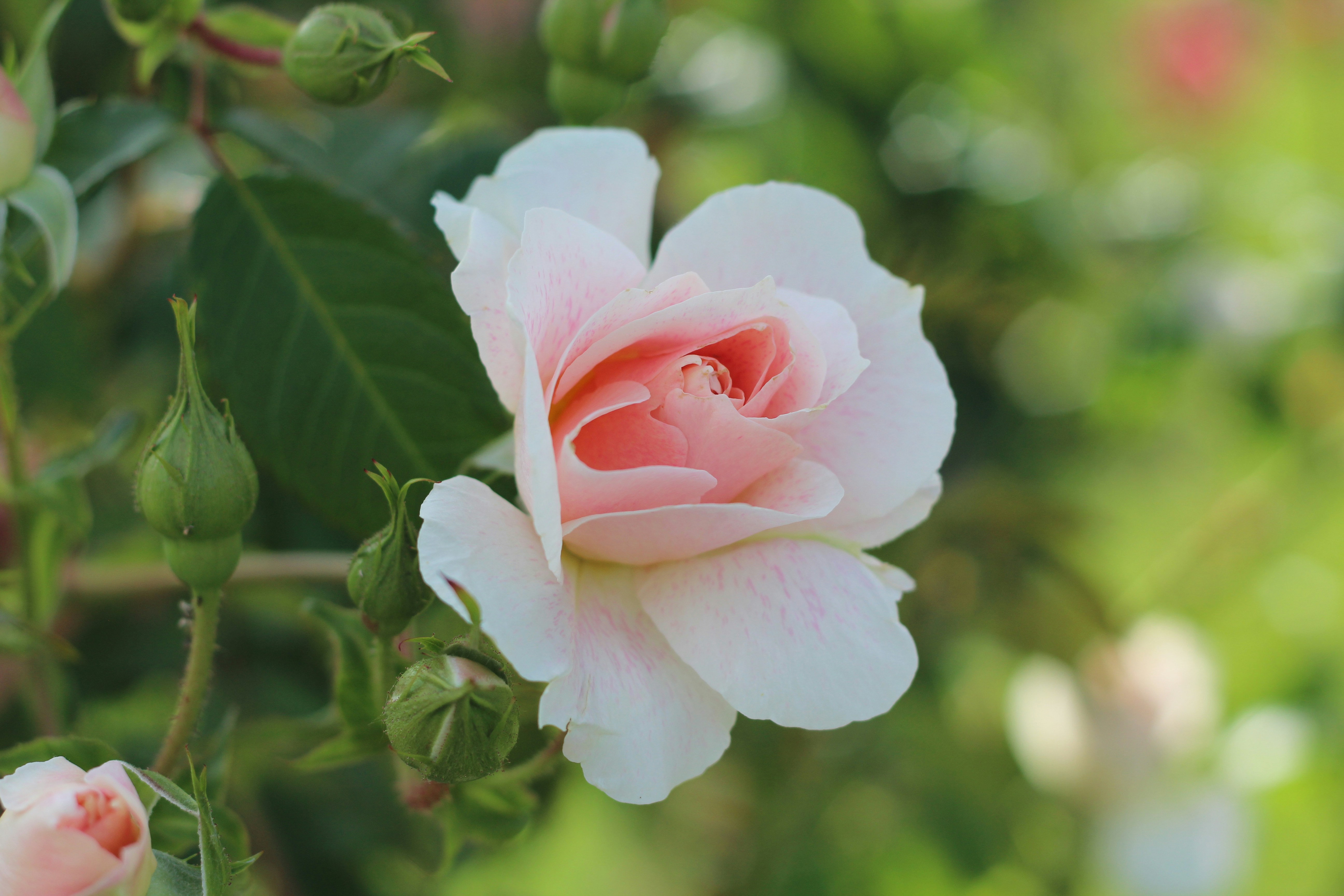 Photo by meghanne828