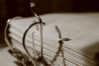 Binder clips hold stacks of papers.