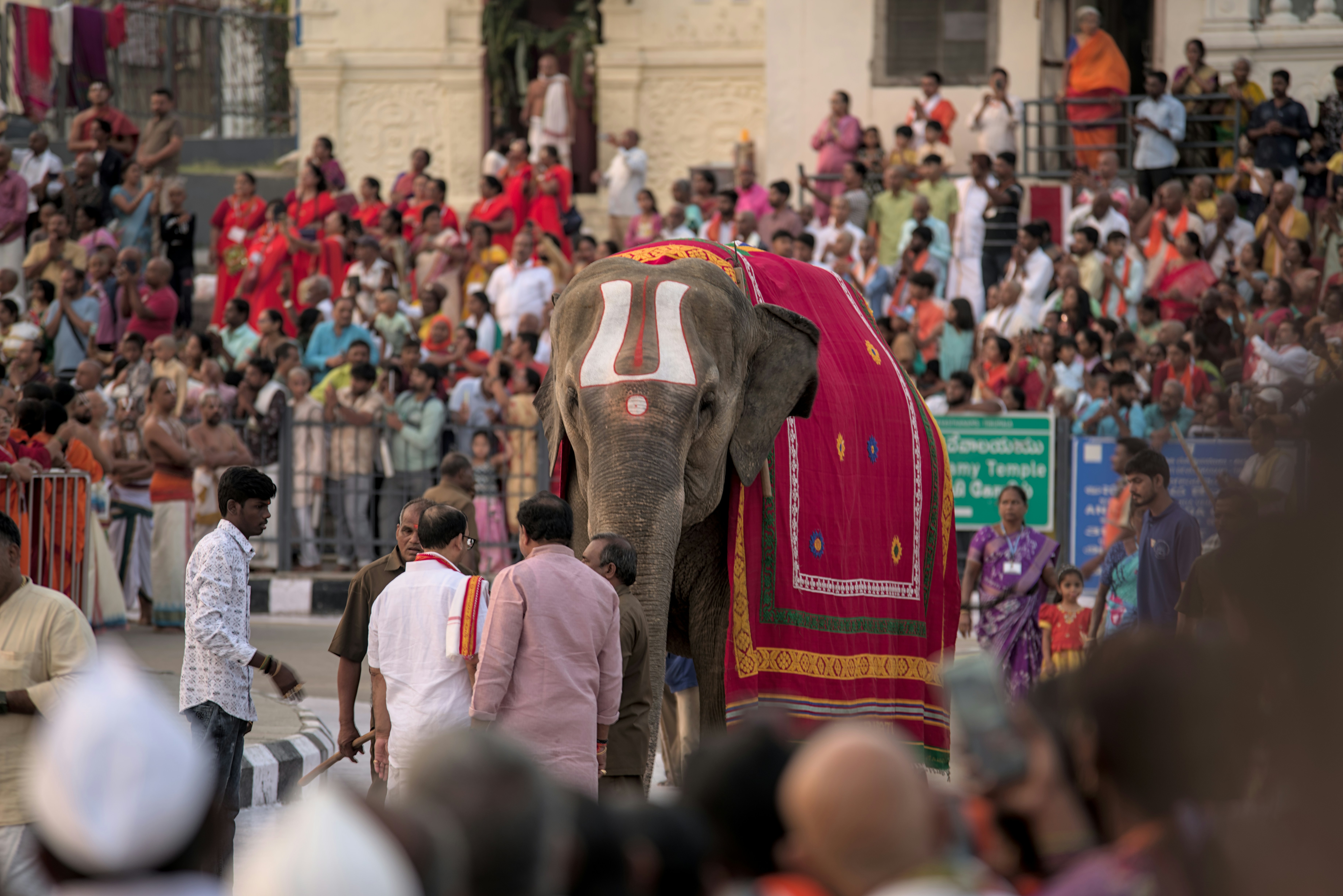 Photo by satishdharmavarapu