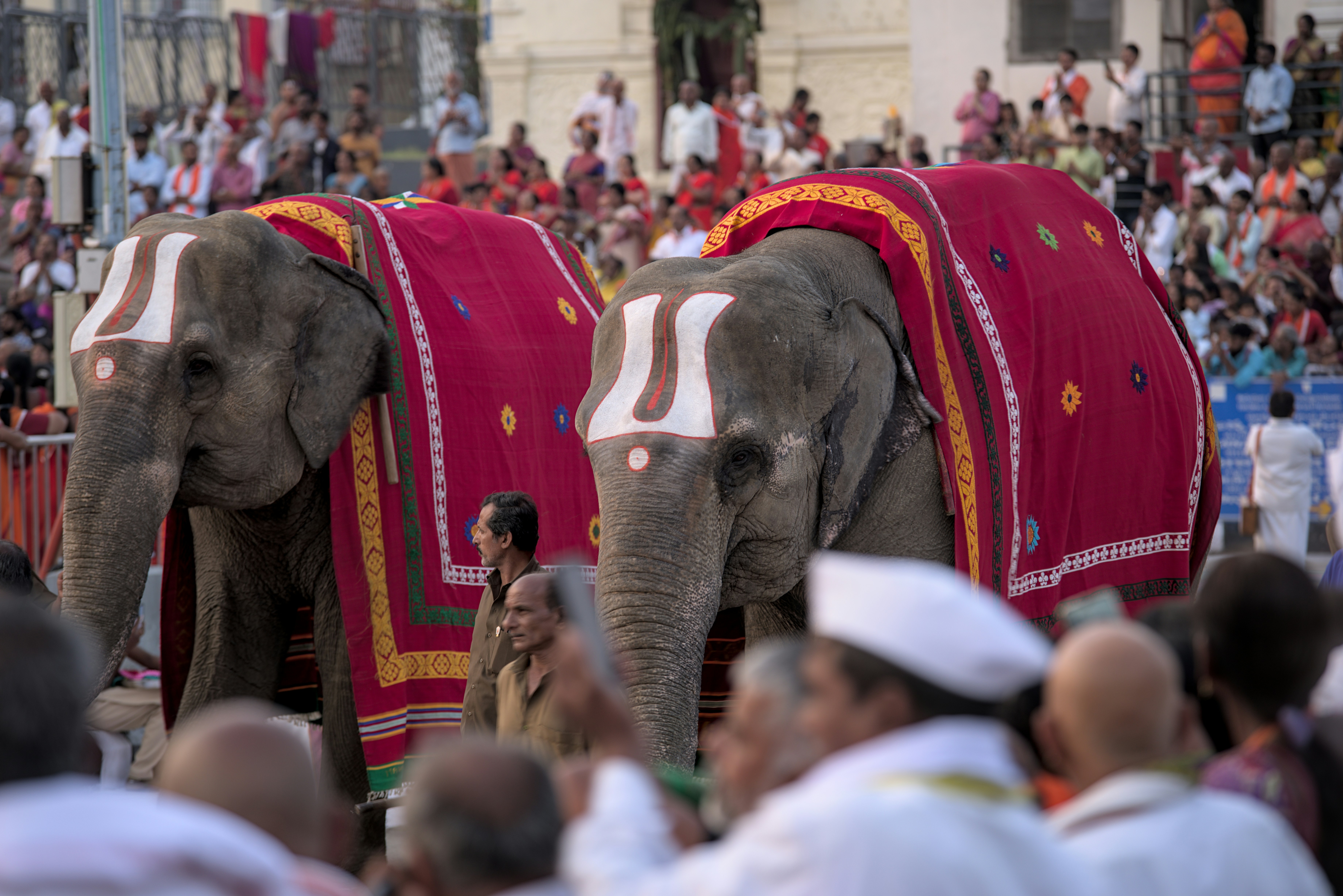 Photo by satishdharmavarapu