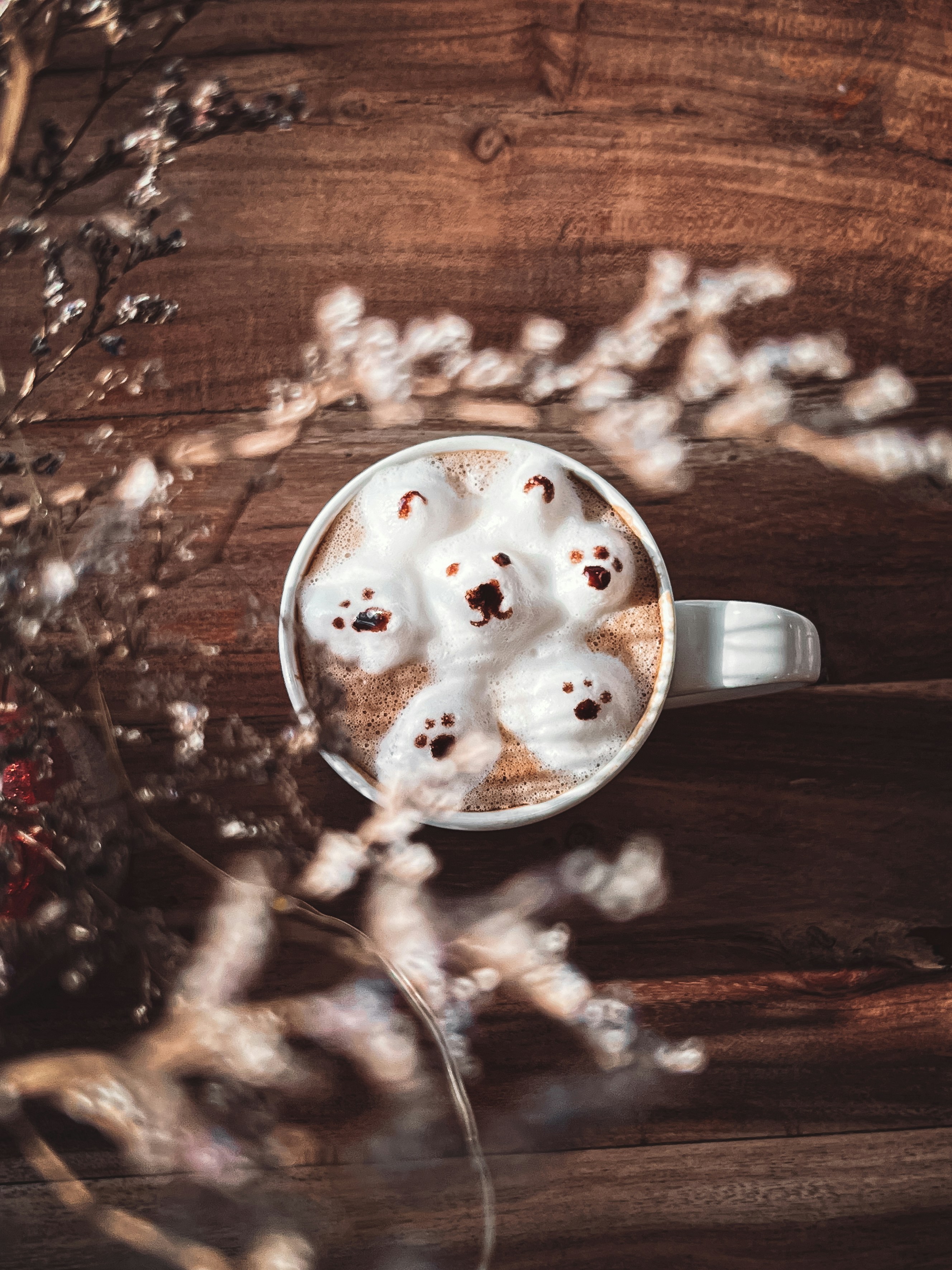 Photo by alexforclicks