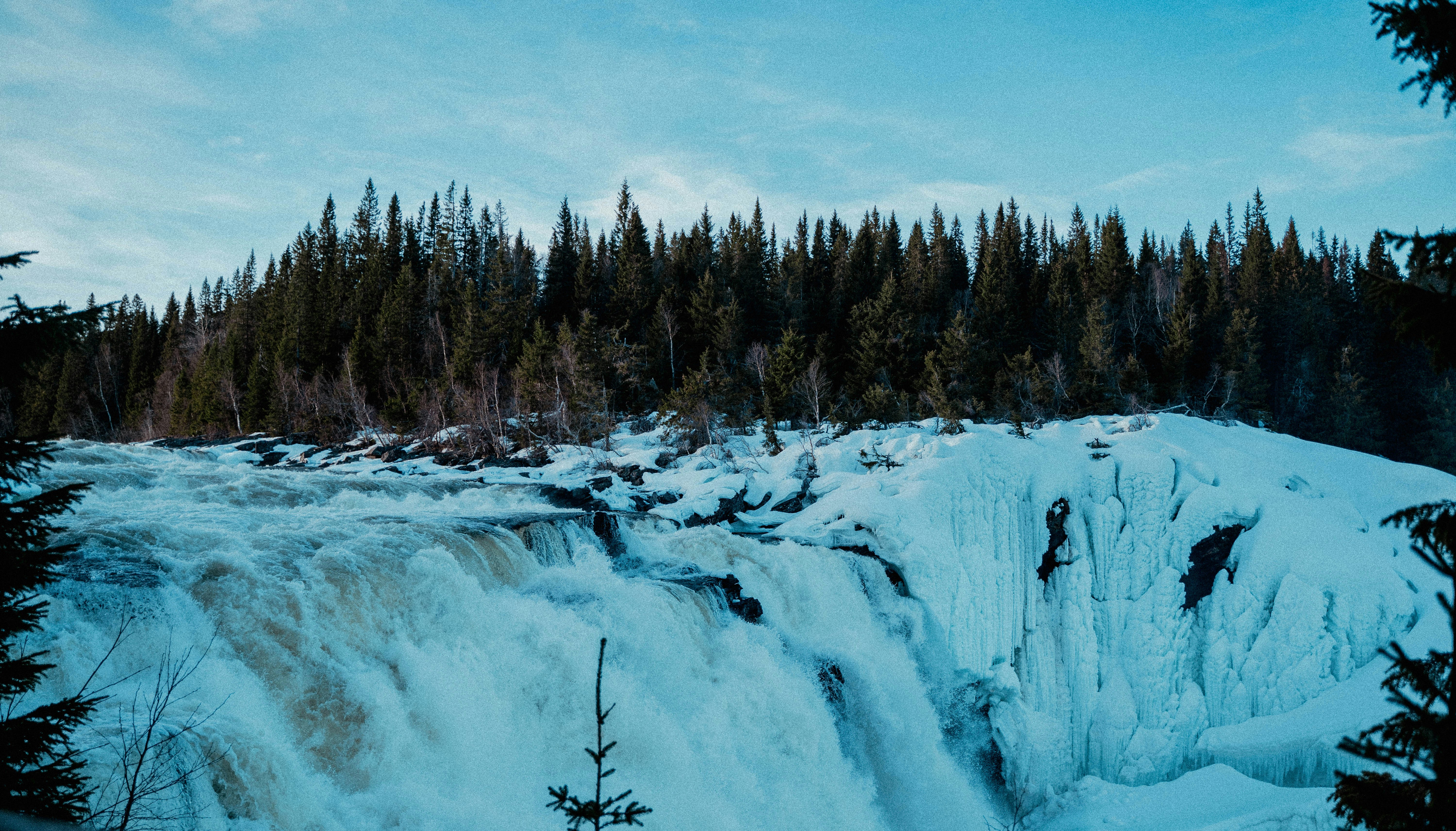 A snowy waterfall flows through a forest.