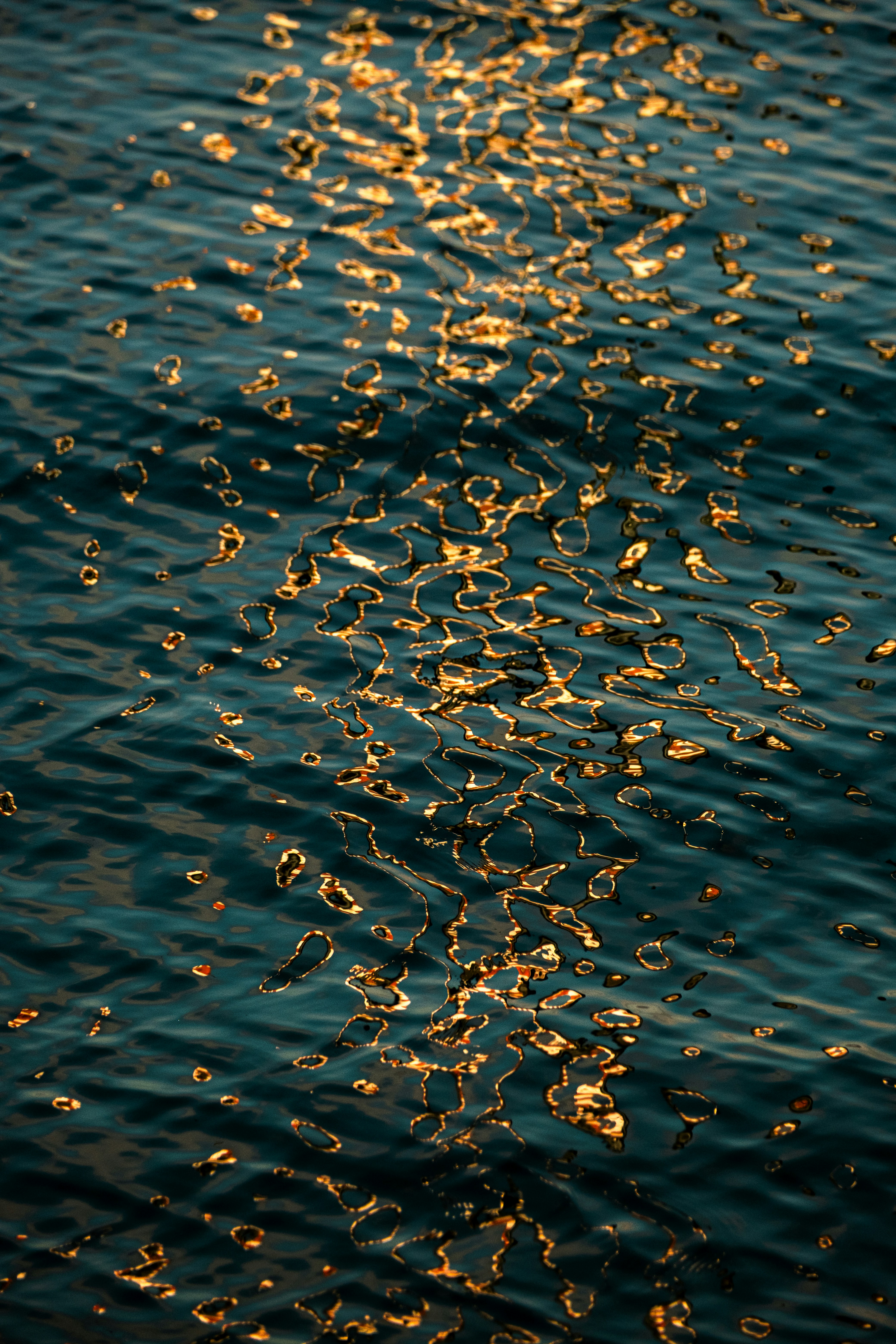 Sunlight glistens on rippling water.