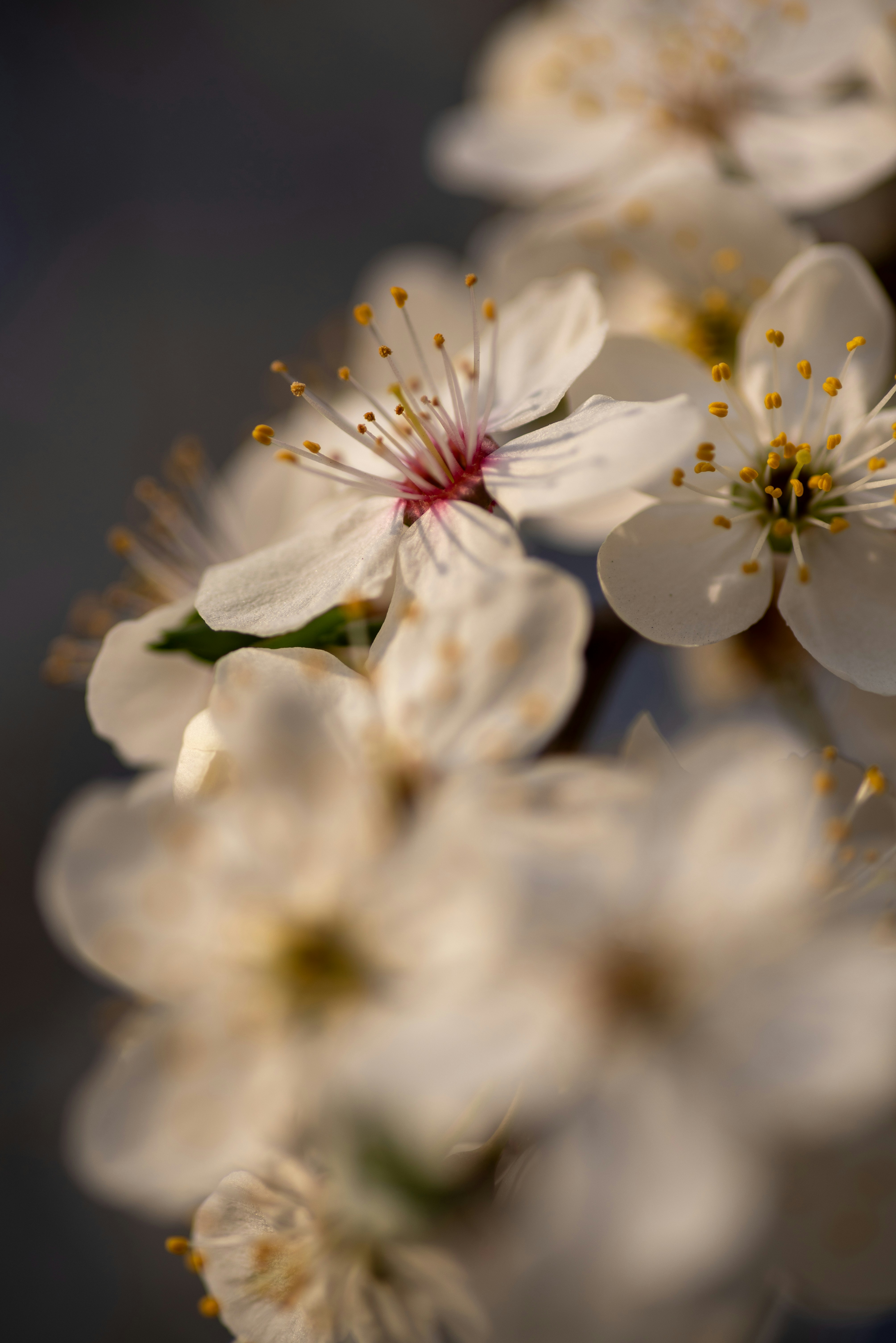 Photo by anastazjakp