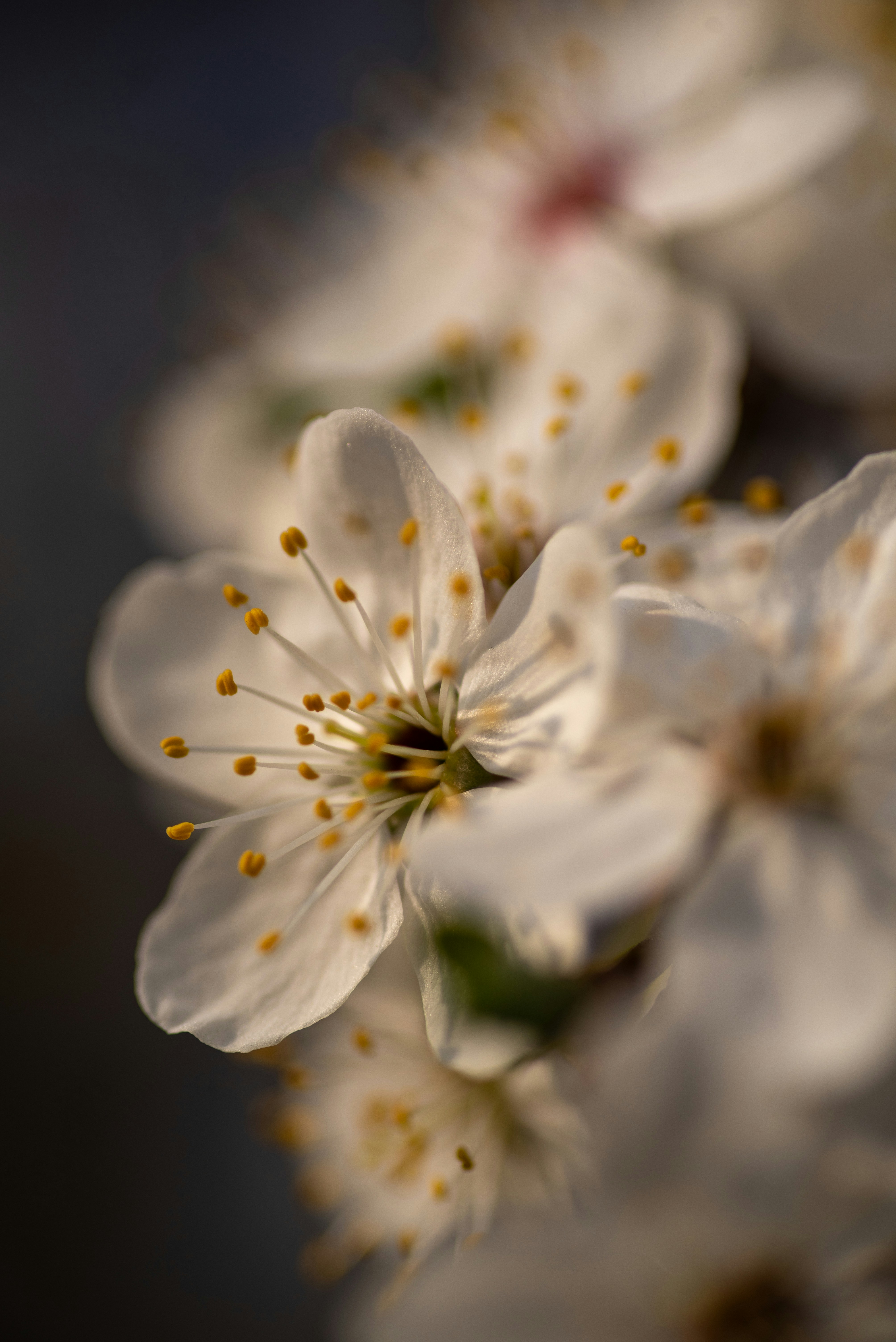 Photo by anastazjakp