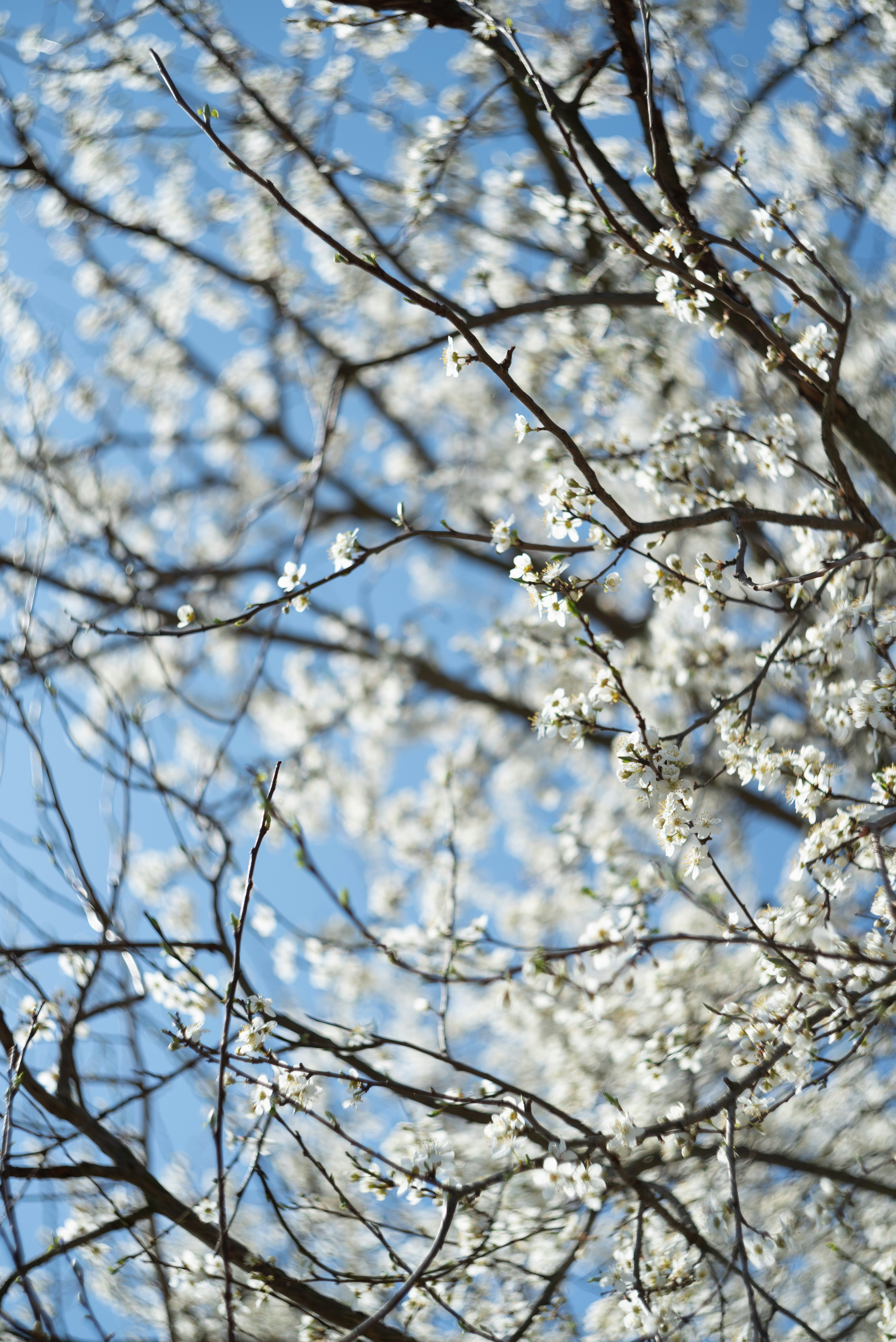 Photo by anastazjakp