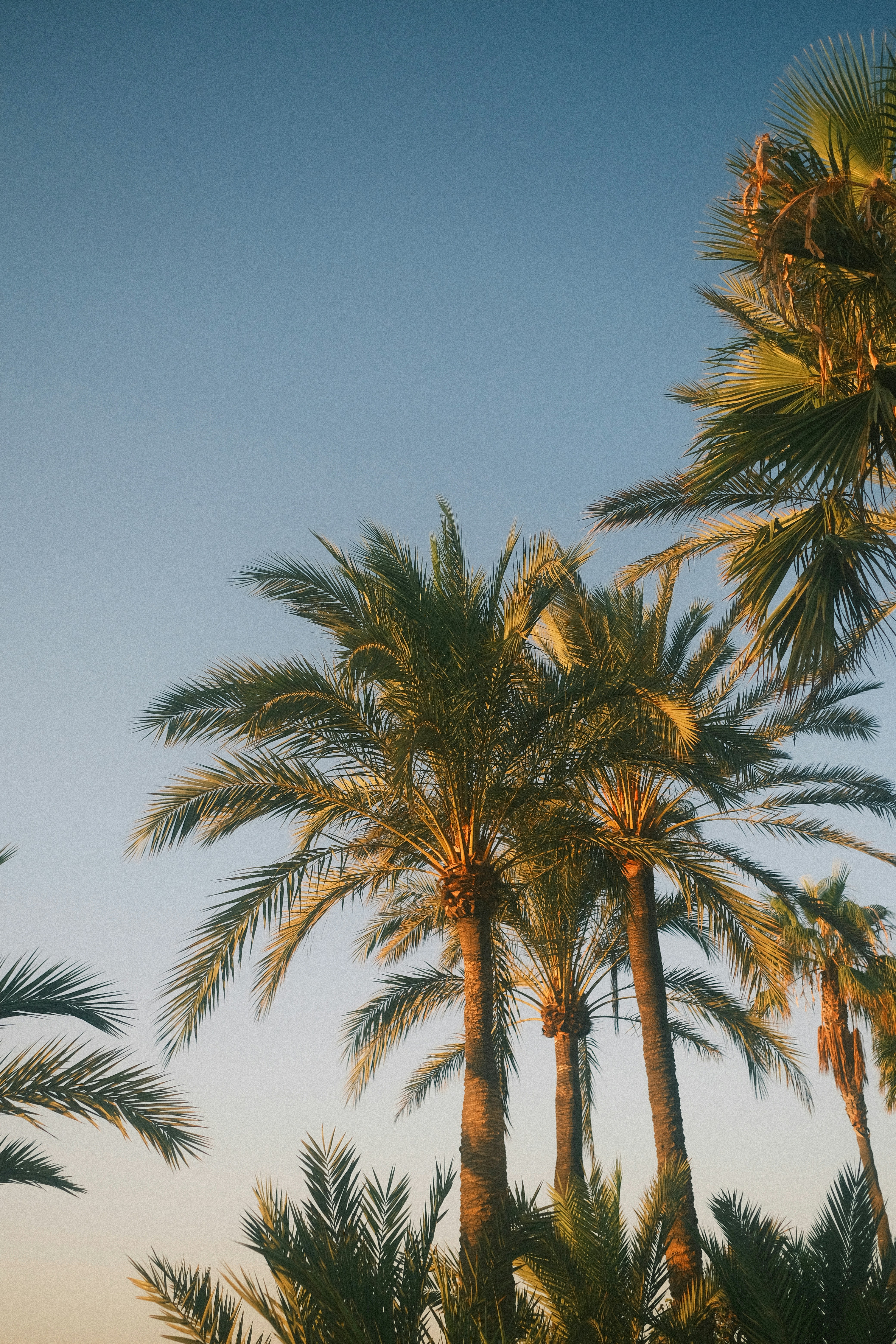 Photo by visualsbying