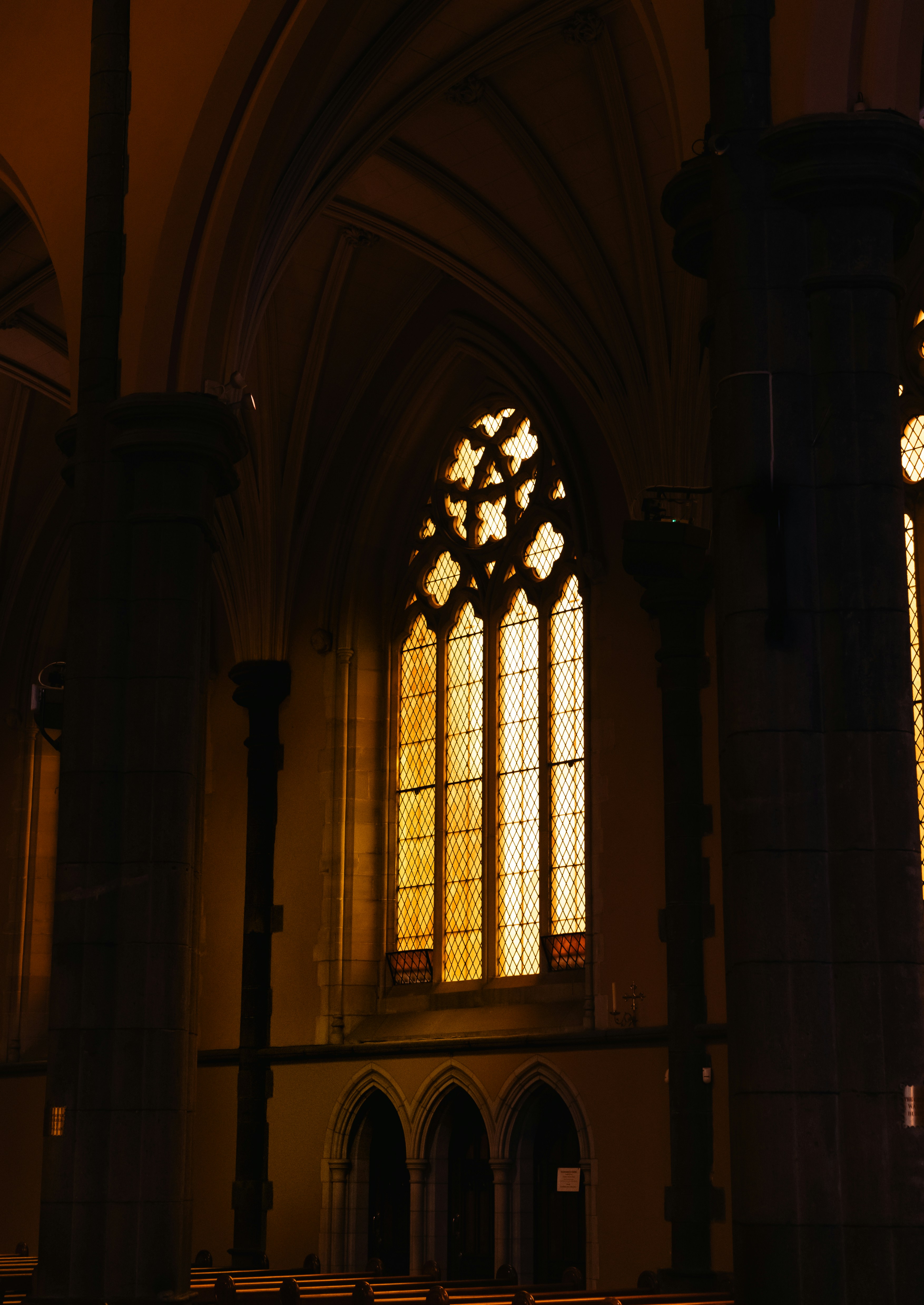 Photo by macourtmedia