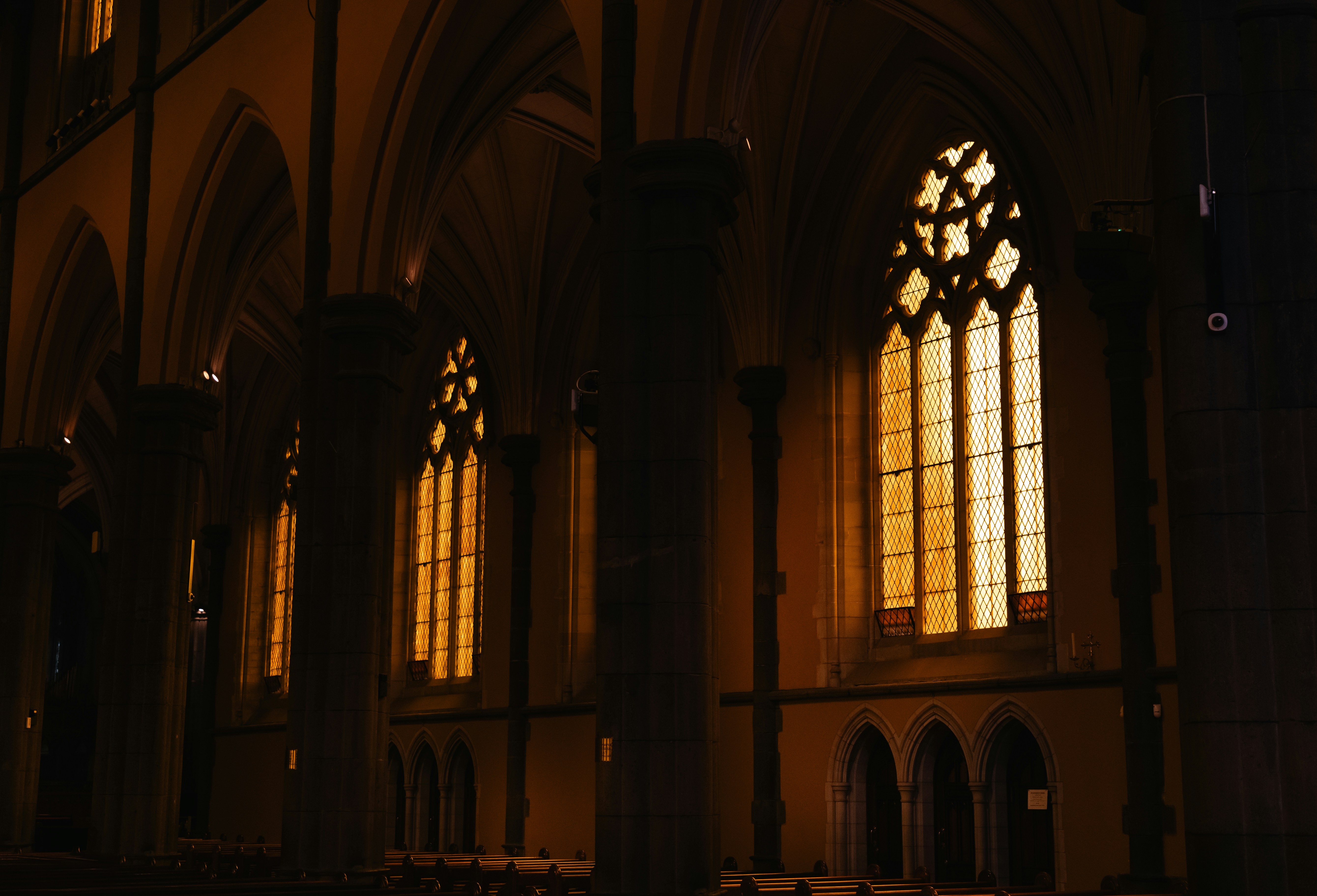 Photo by macourtmedia