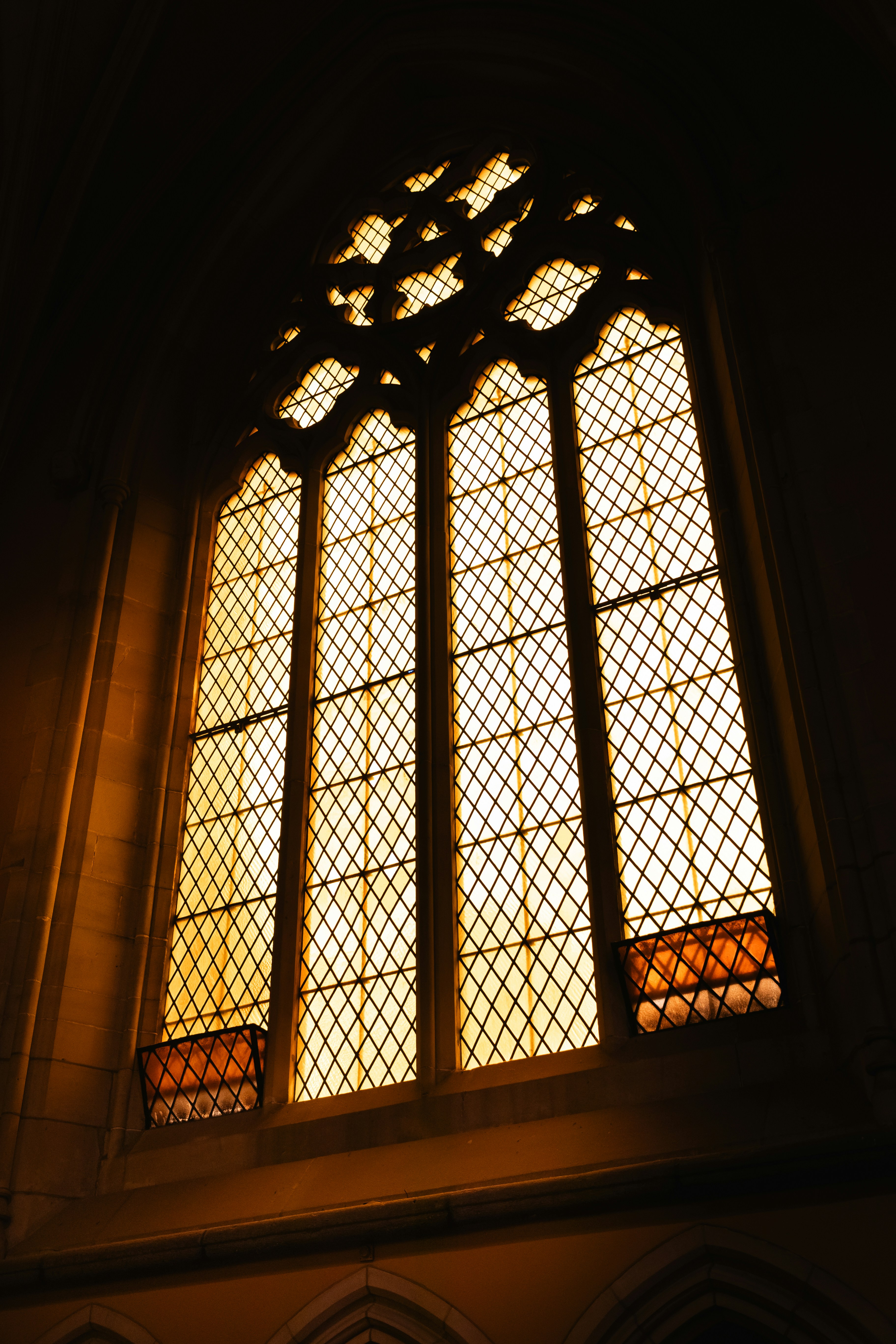 Photo by macourtmedia