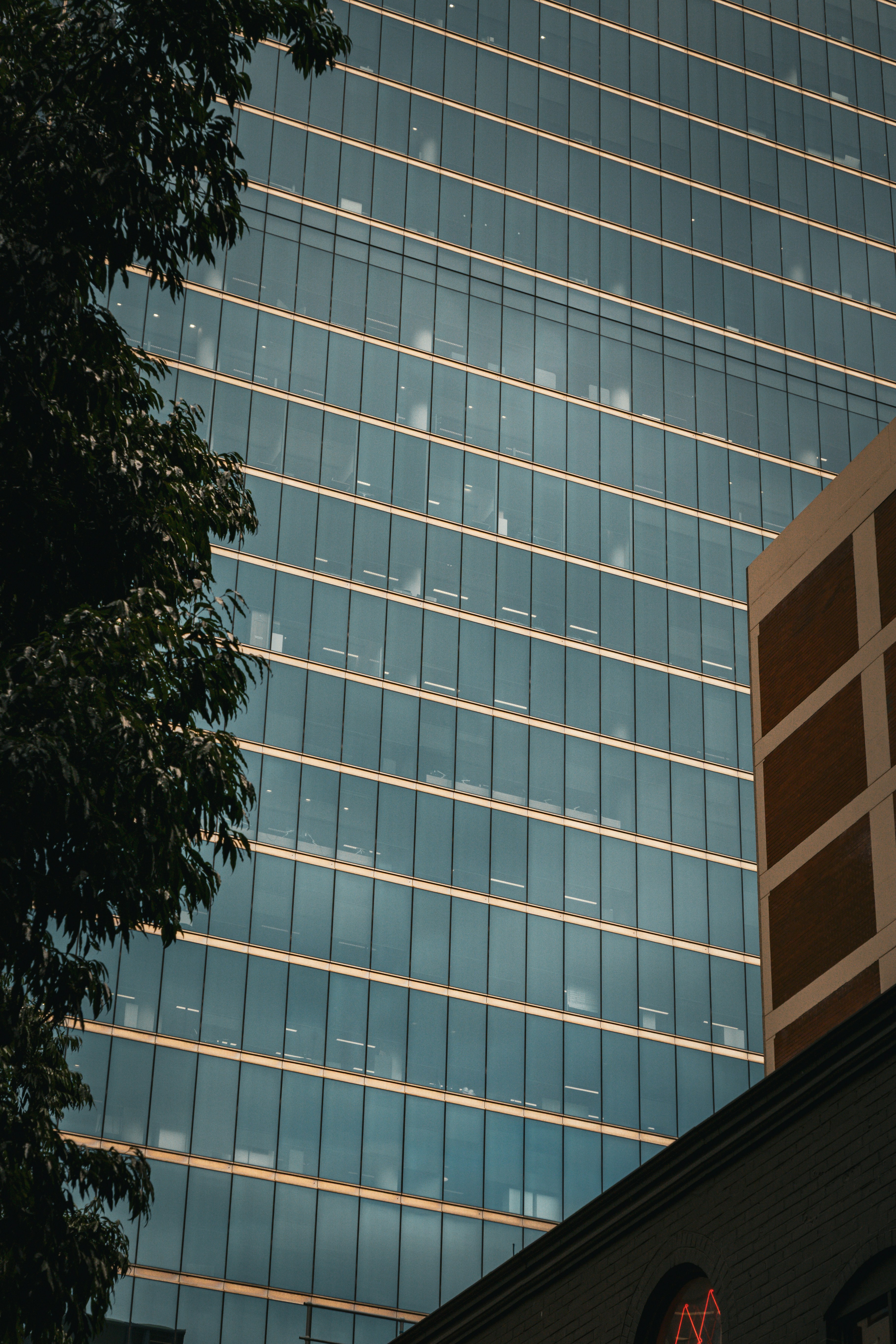 Photo by macourtmedia