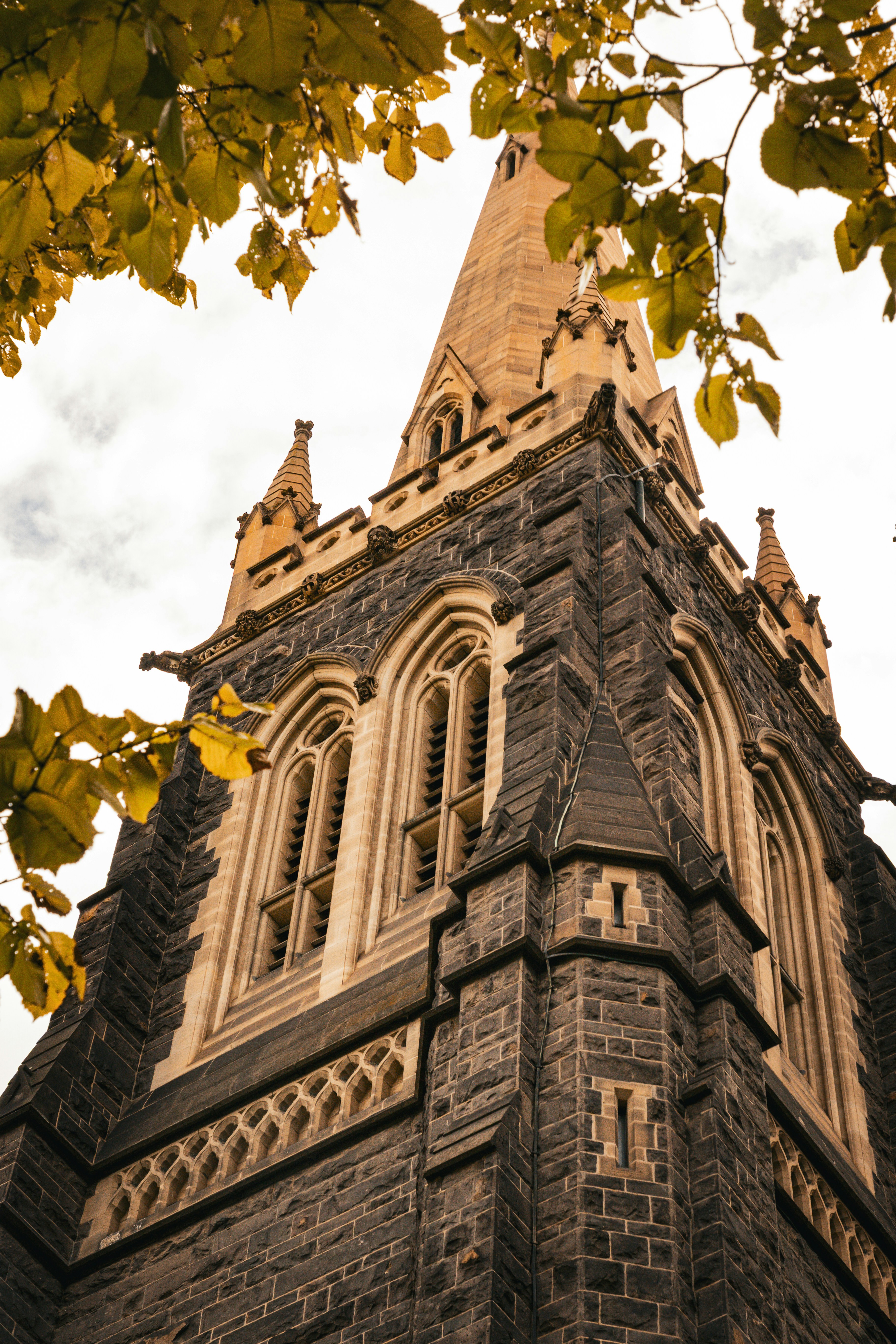 Photo by macourtmedia