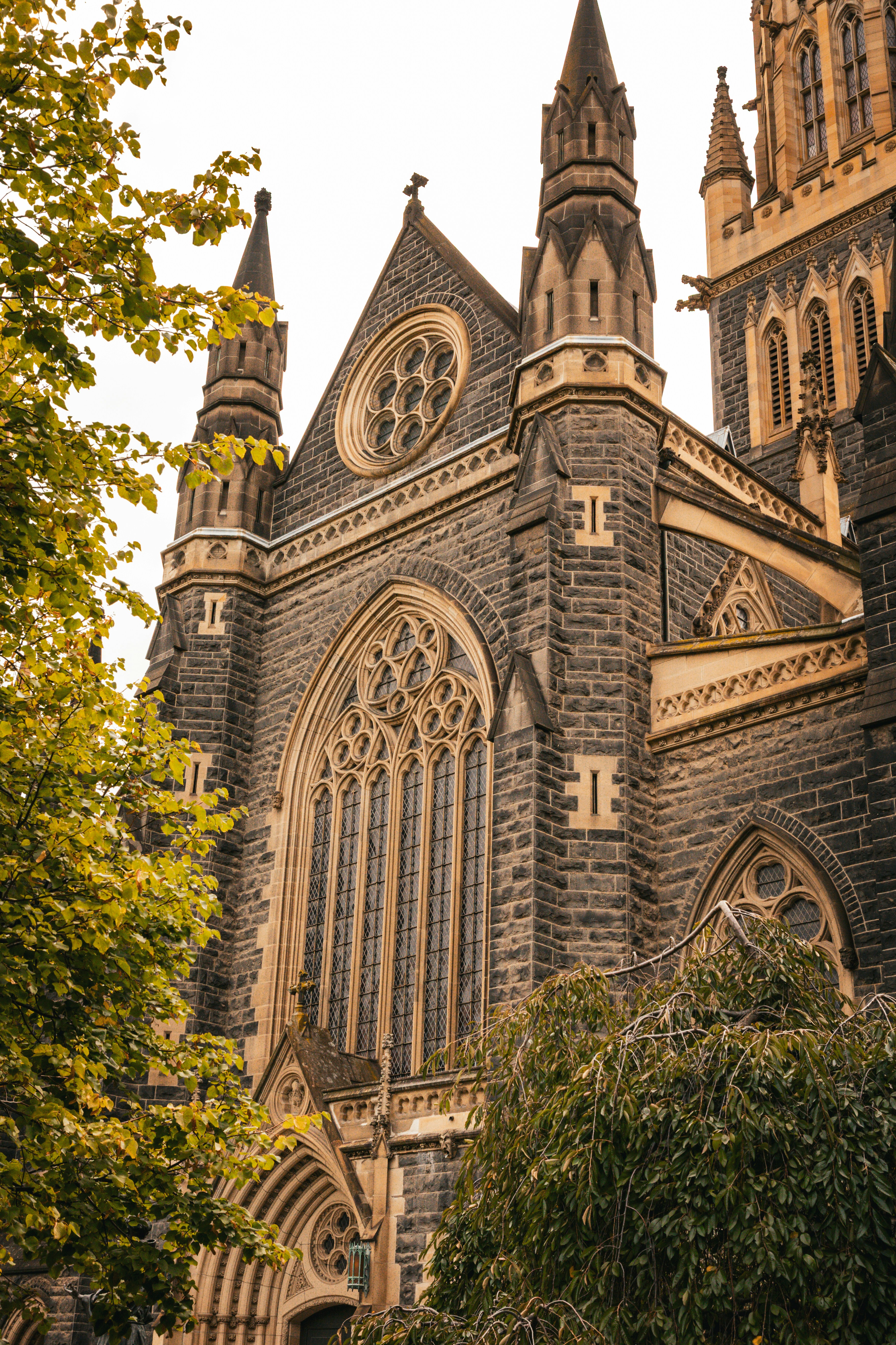 Photo by macourtmedia