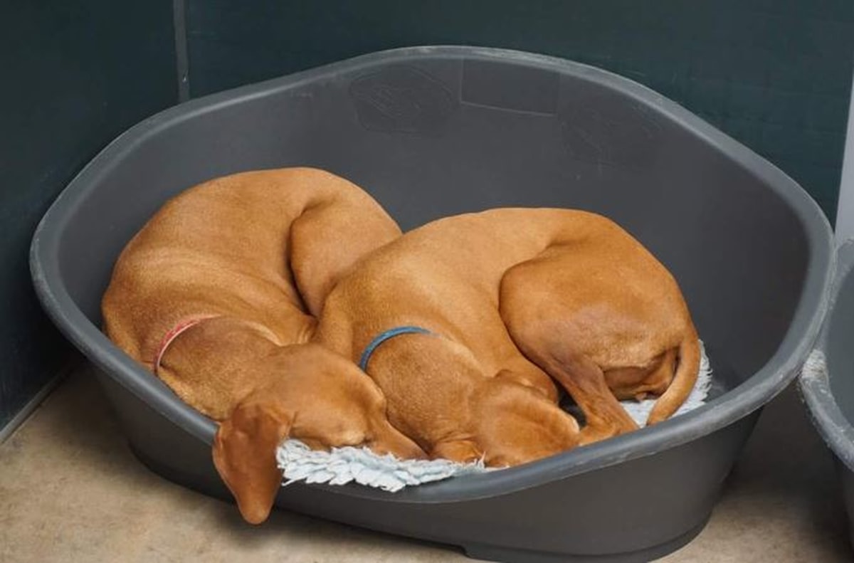 Patient resting in a quiet recovery space after a procedure