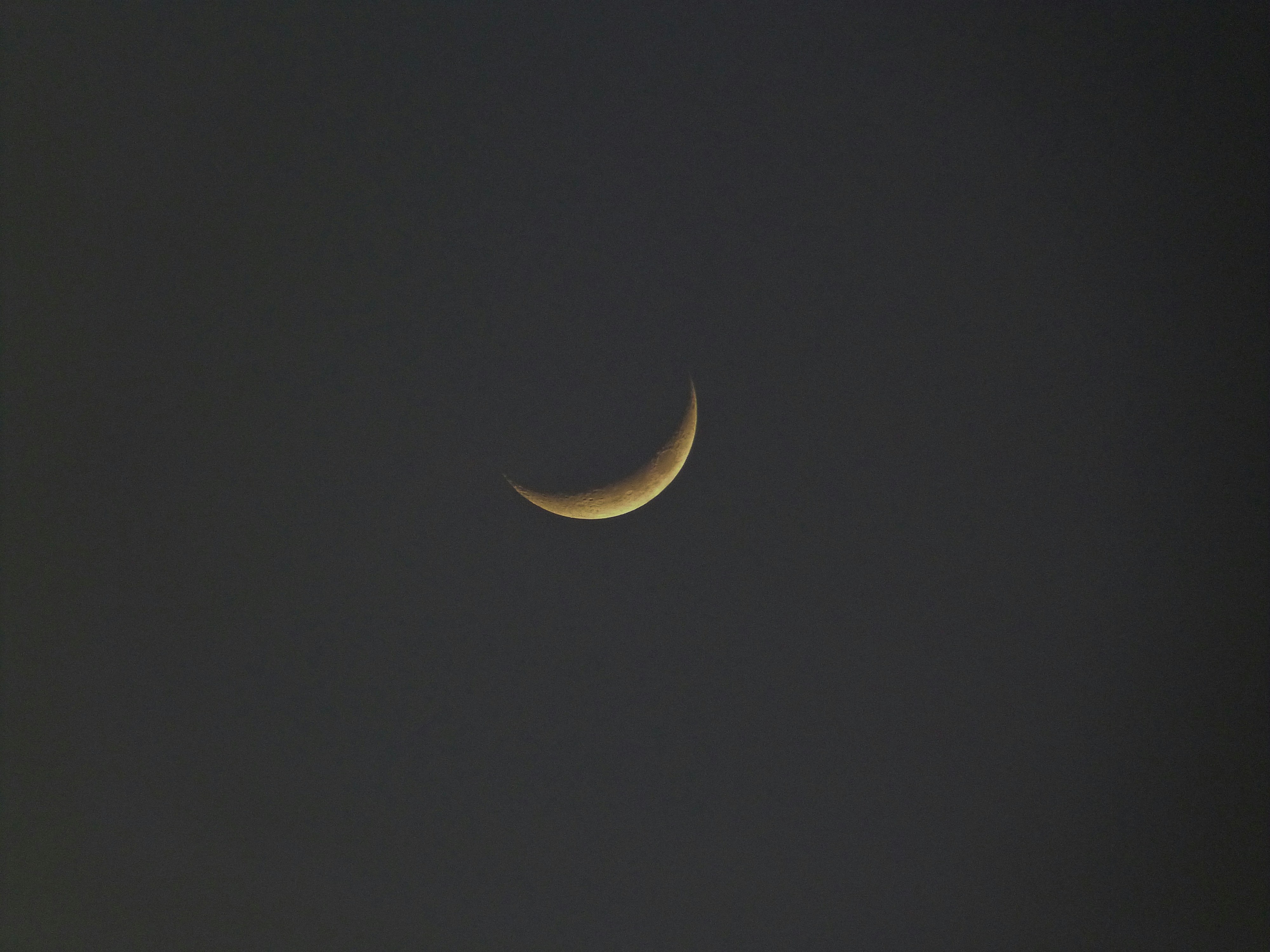 Photo by hannahruthemeyer