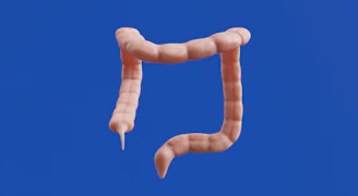 imagem 3D colon - colonoscopia intestino ribeirão preto