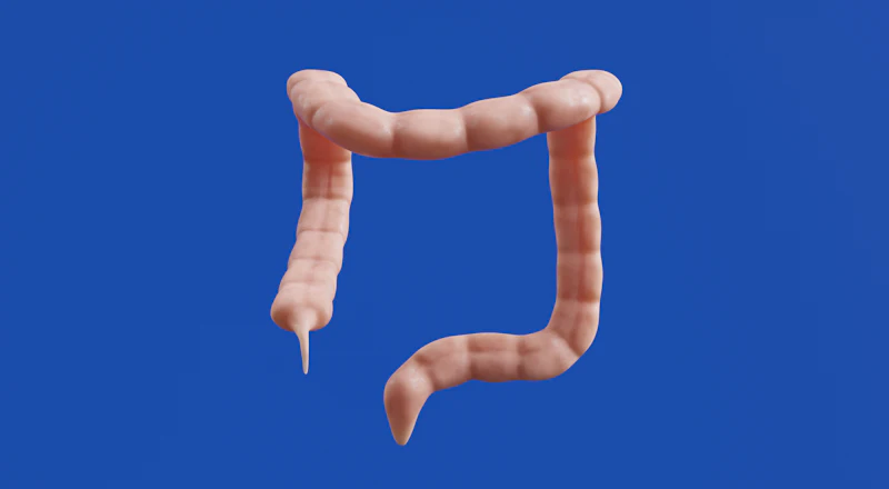 Rectal prolapse evaluation and surgical correction