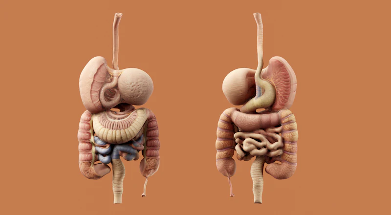 Laparoscopic cholecystectomy, gallbladder removal