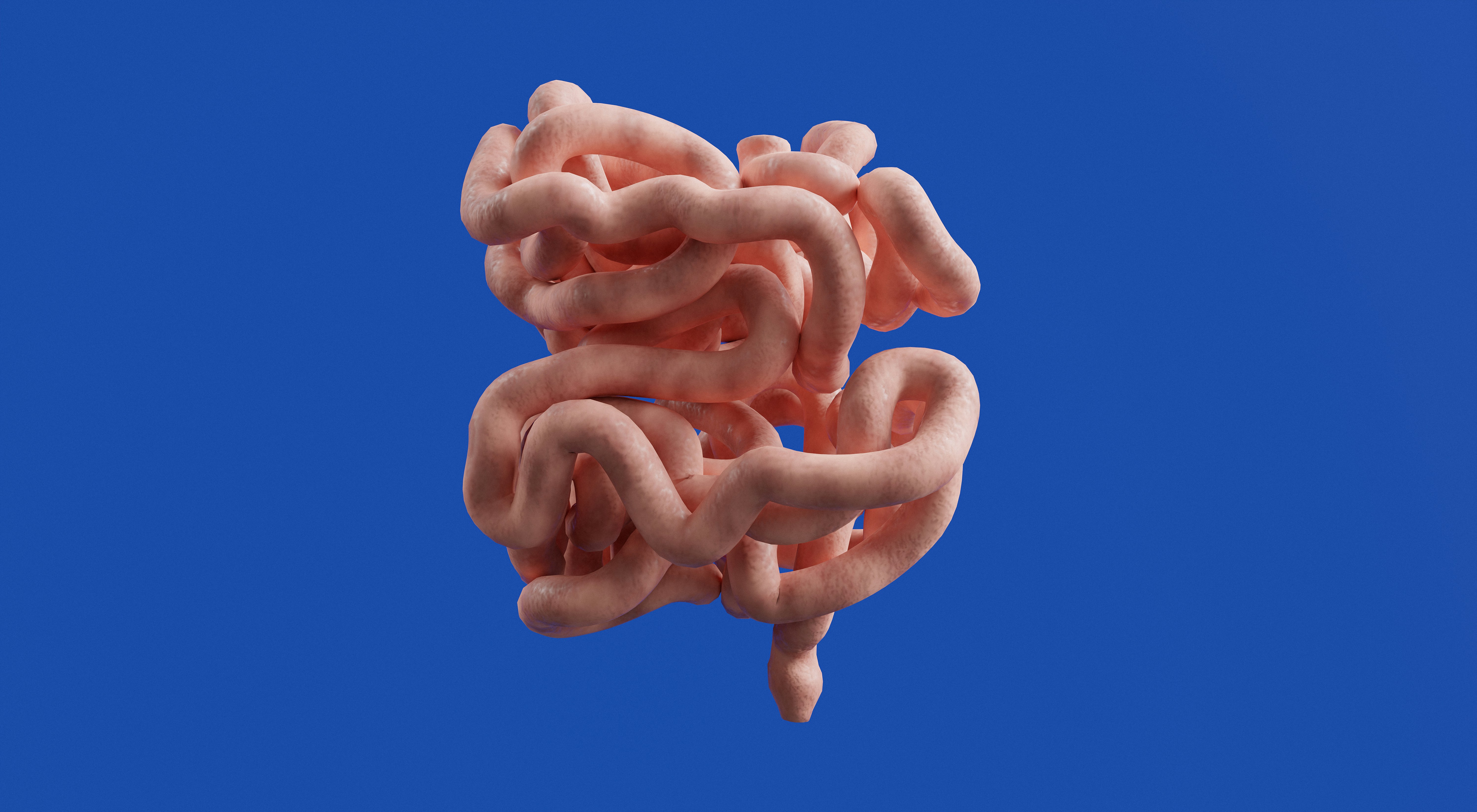 What Lives in Your Gut May Be Running Your Mind: The Science of the Gut-Brain Axis