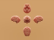 Various perspectives of a human brain are displayed.