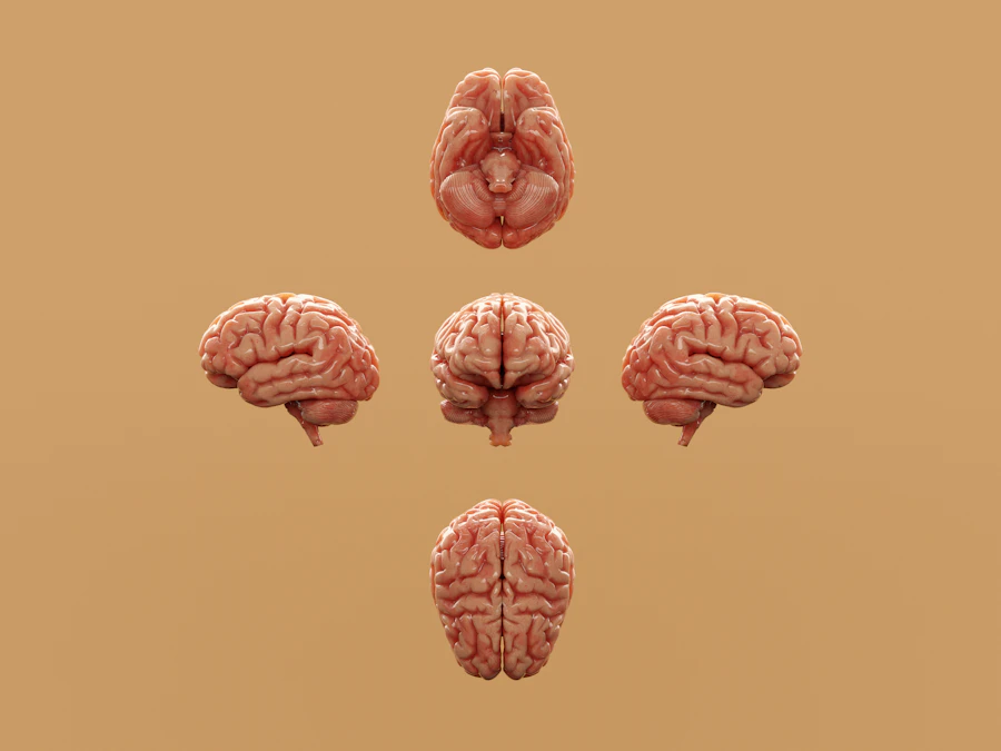 Best Natural Nootropics for Students Under Exam Pressure