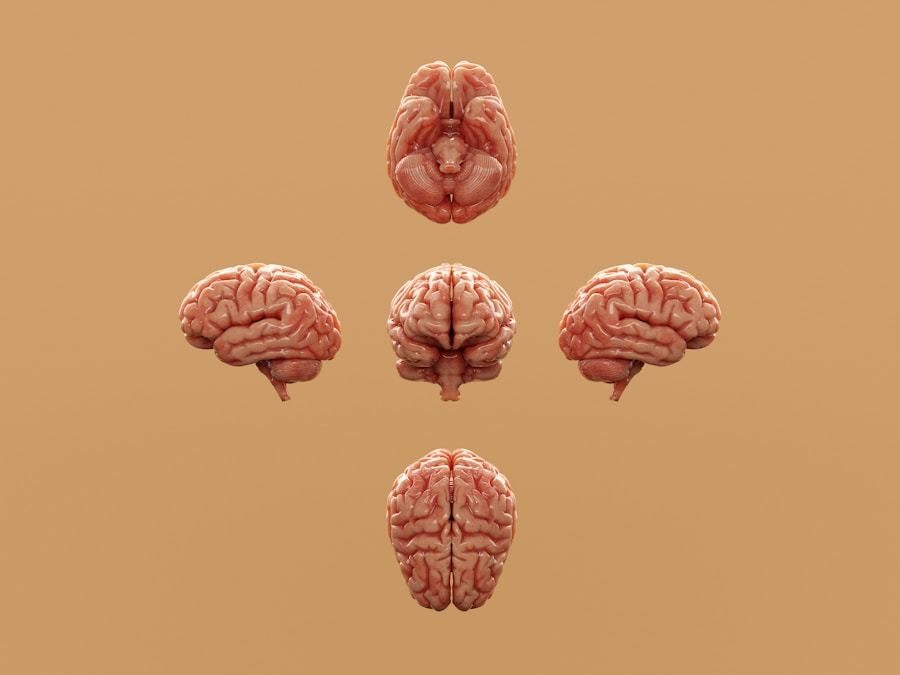 人類大腦認知偏誤與決策心理學