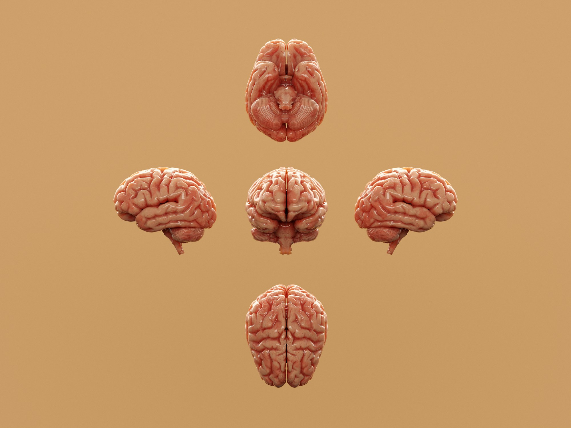 AI's Ascent: Balancing Ambition with Sustainable Growth